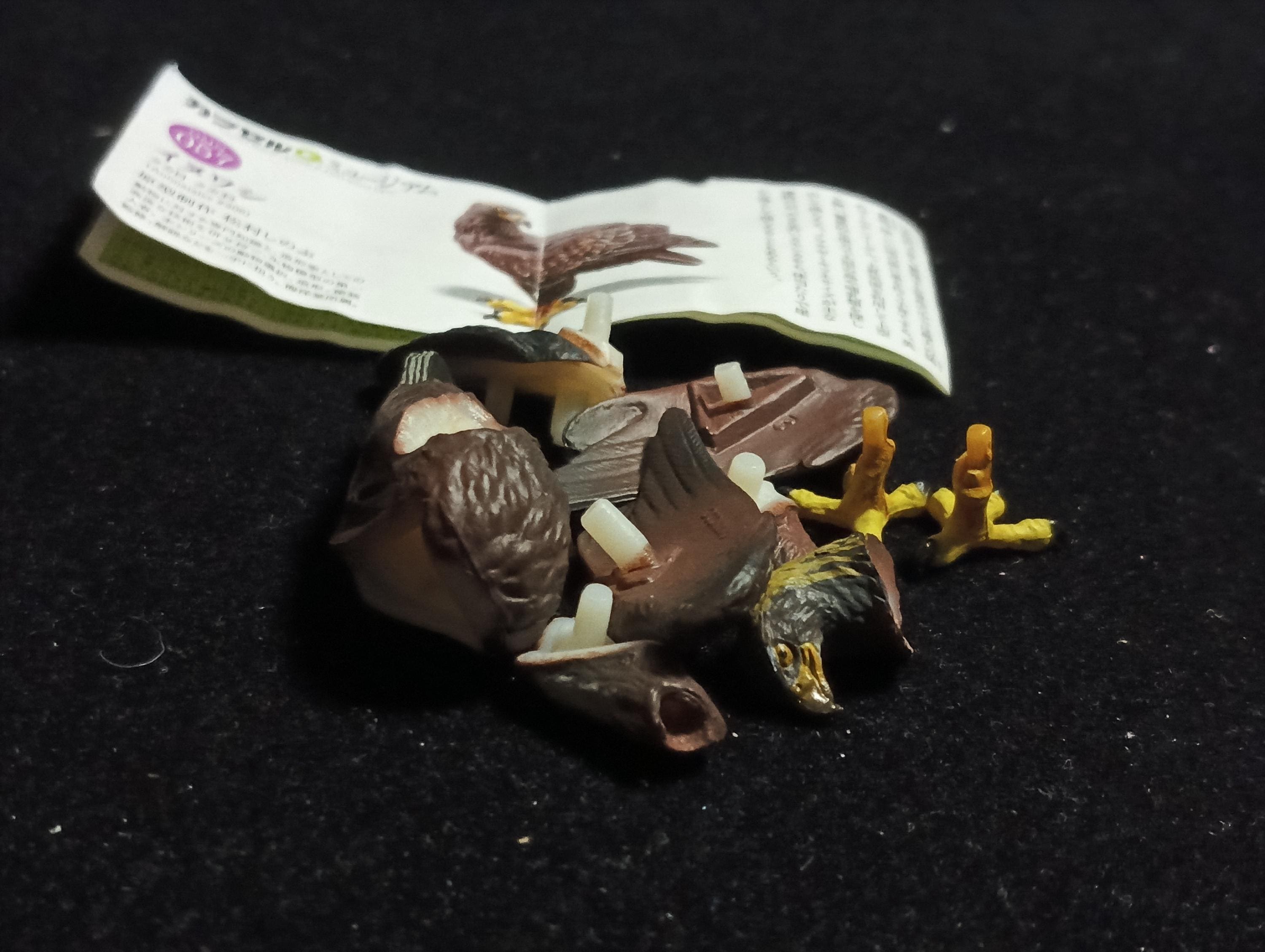 Japanese Animal Collection 8: Japanese Alps - Golden Eagle - Kaiyodo Capsule Q Museum #57