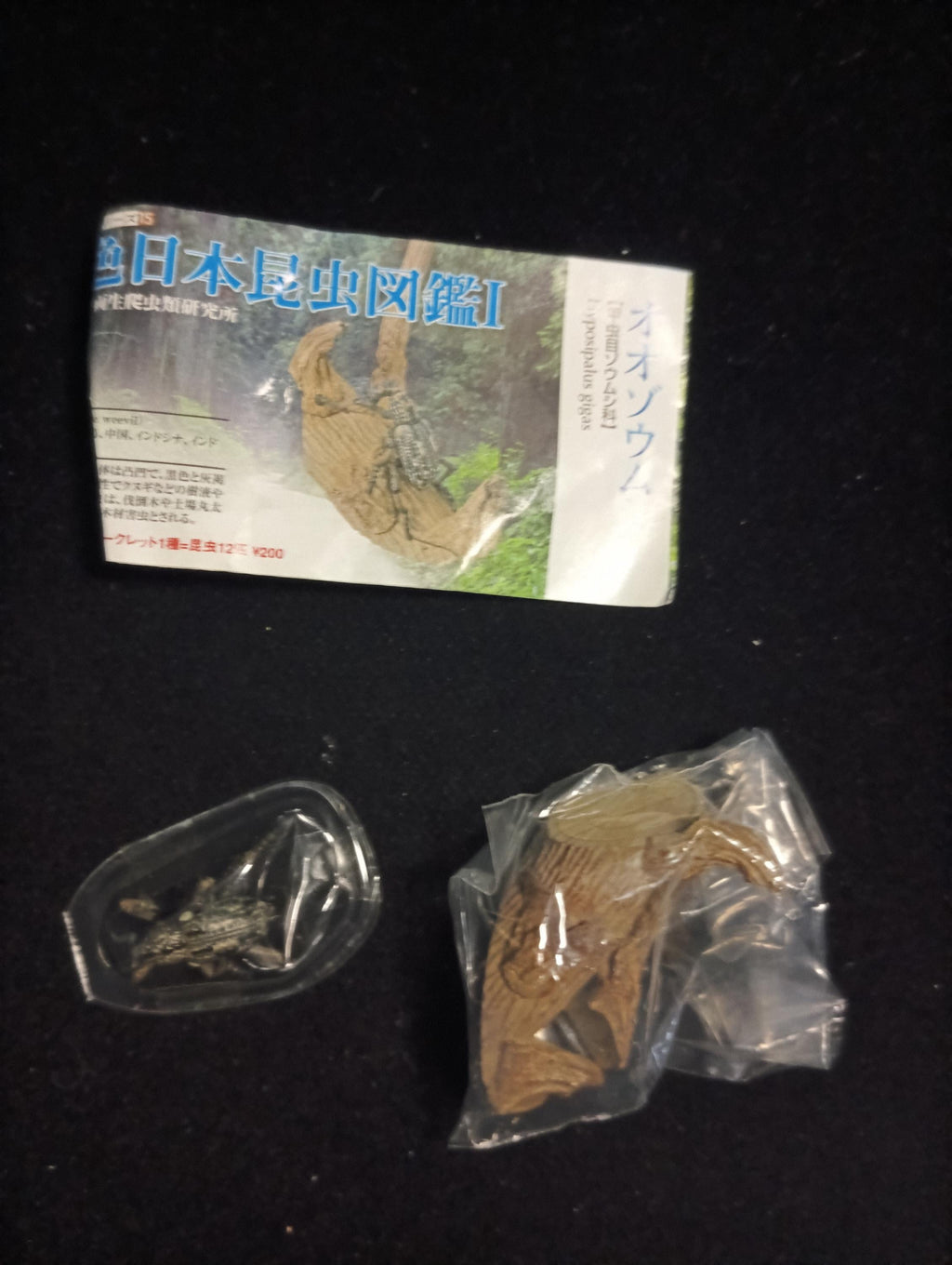 Yujin Kaiyodo Large Weevil Beetle Japanese Insects I