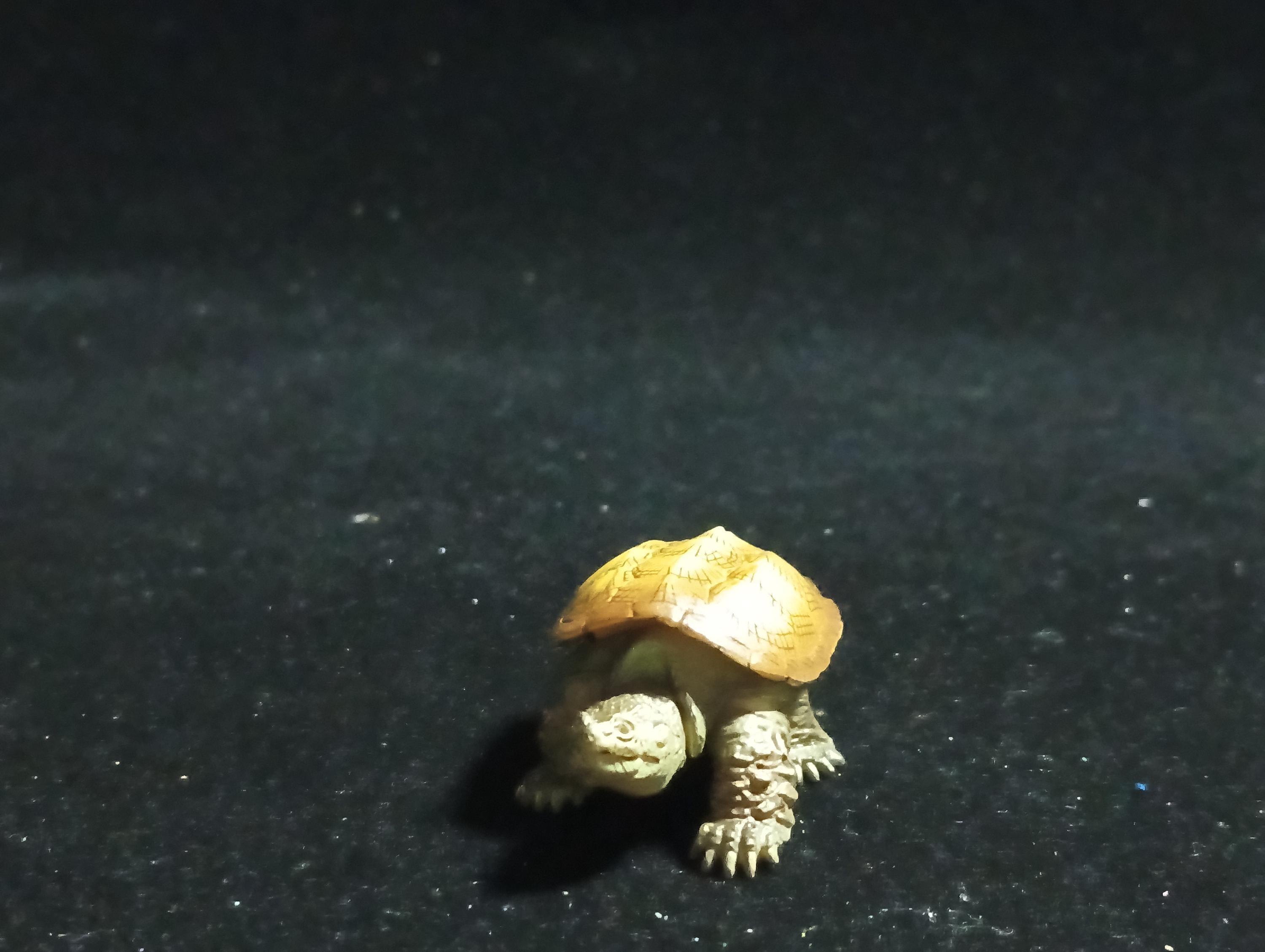 Animatales Snapping Turtle - Kaiyodo Capsule Q Museum #63