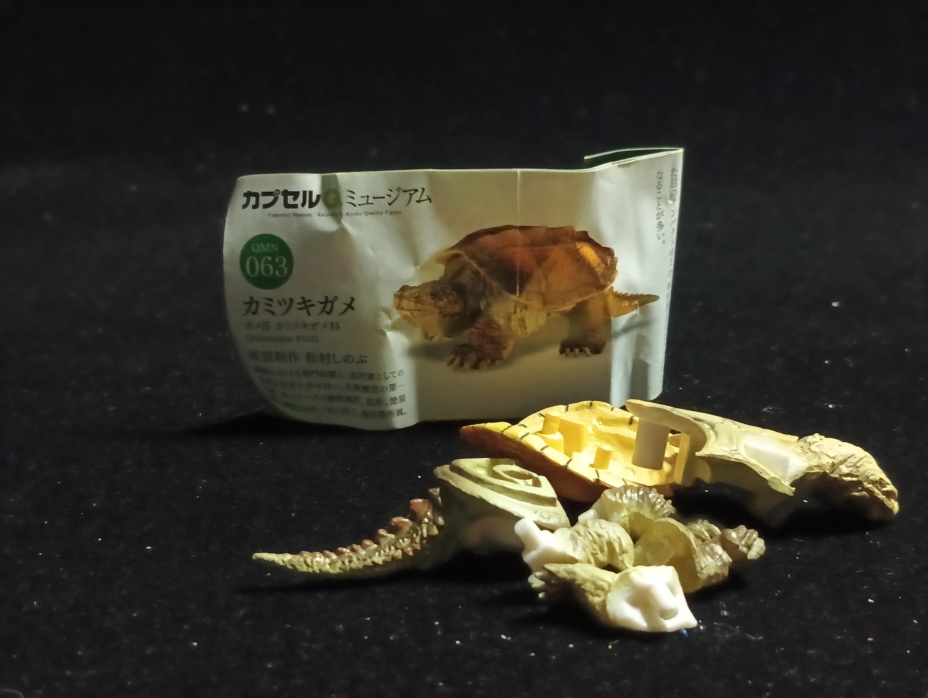 Animatales Snapping Turtle - Kaiyodo Capsule Q Museum #63
