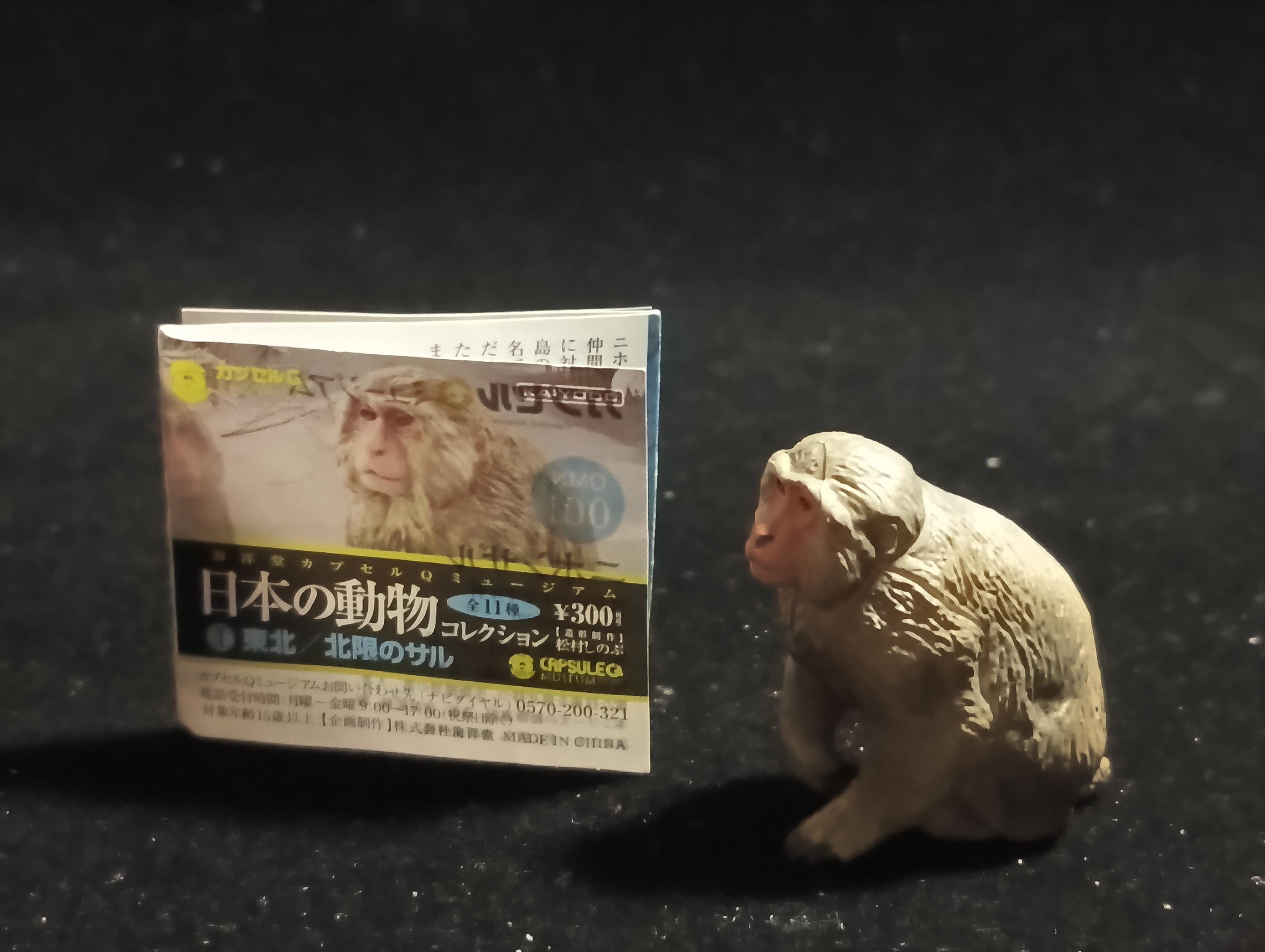 Japanese Animals: Tohoku / Northern Limit Macaque - The northernmost monkey (Snow Monkey) - Kaiyodo Capsule Q Museum