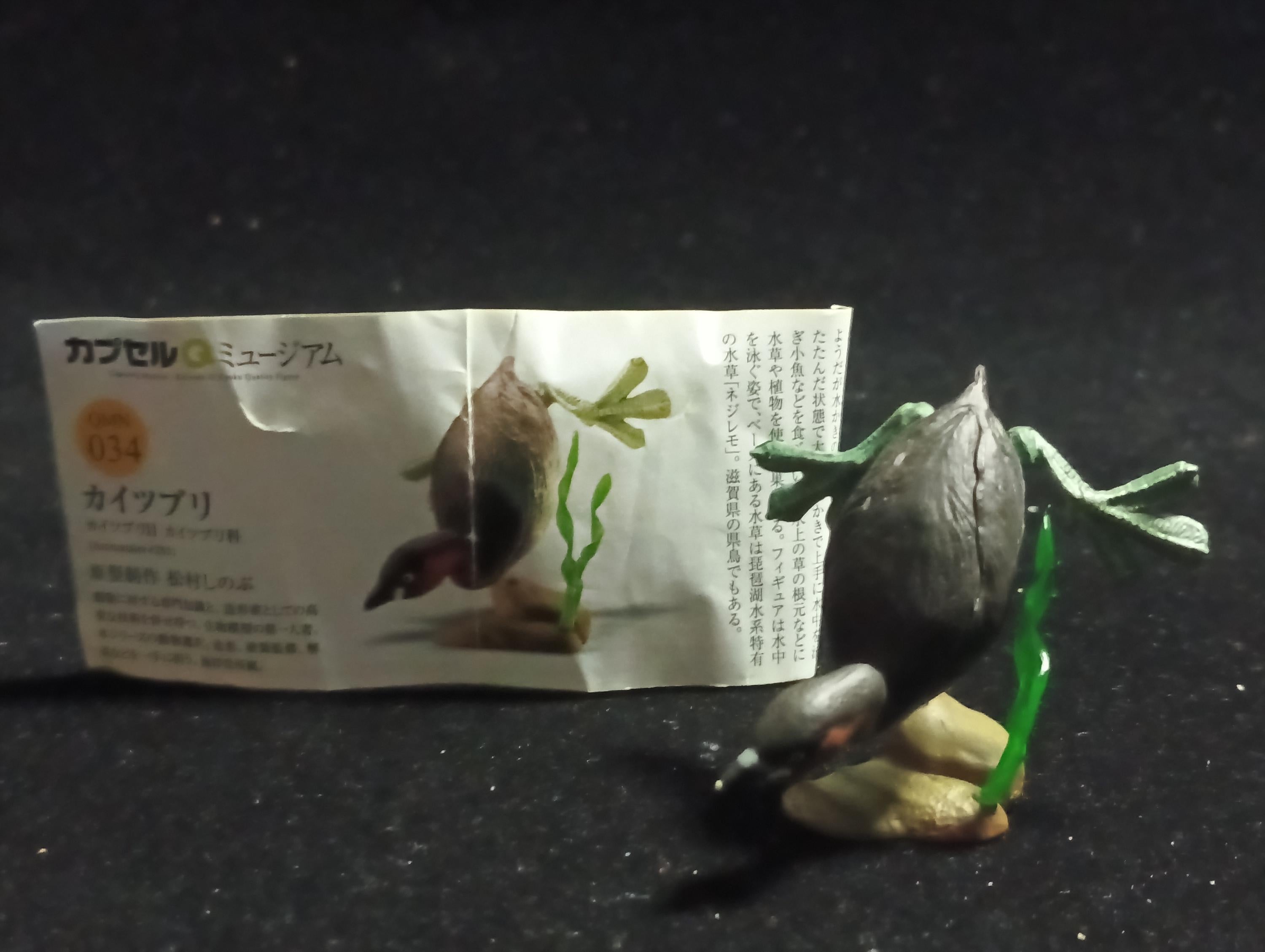 Animatales Biwako Little Grebe - Kaiyodo Capsule Q Museum #63