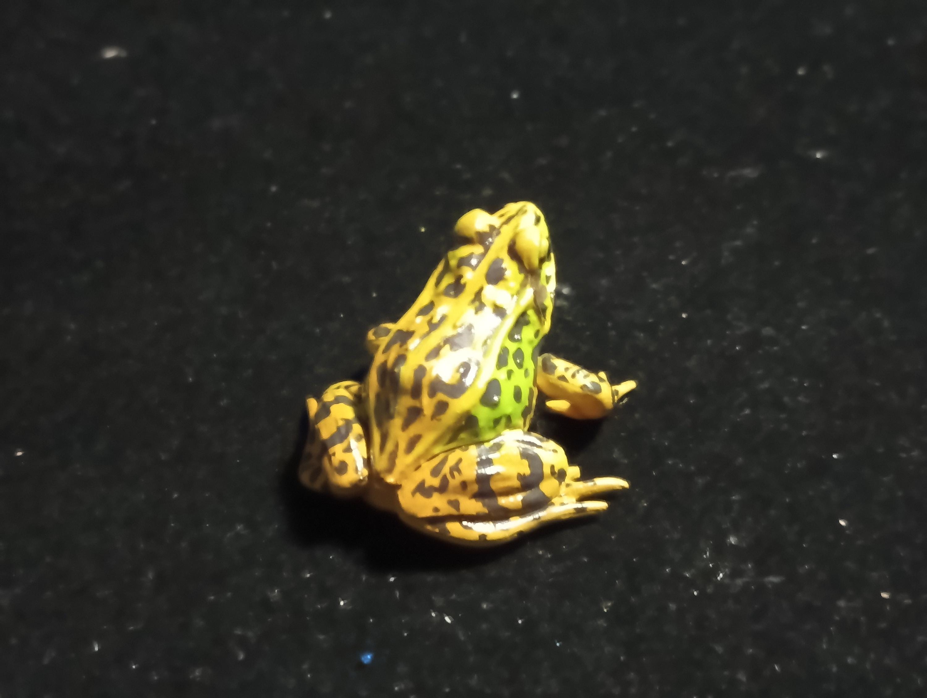 Animatales Western Leopard Toad - Kaiyodo Capsule Q Museum #22