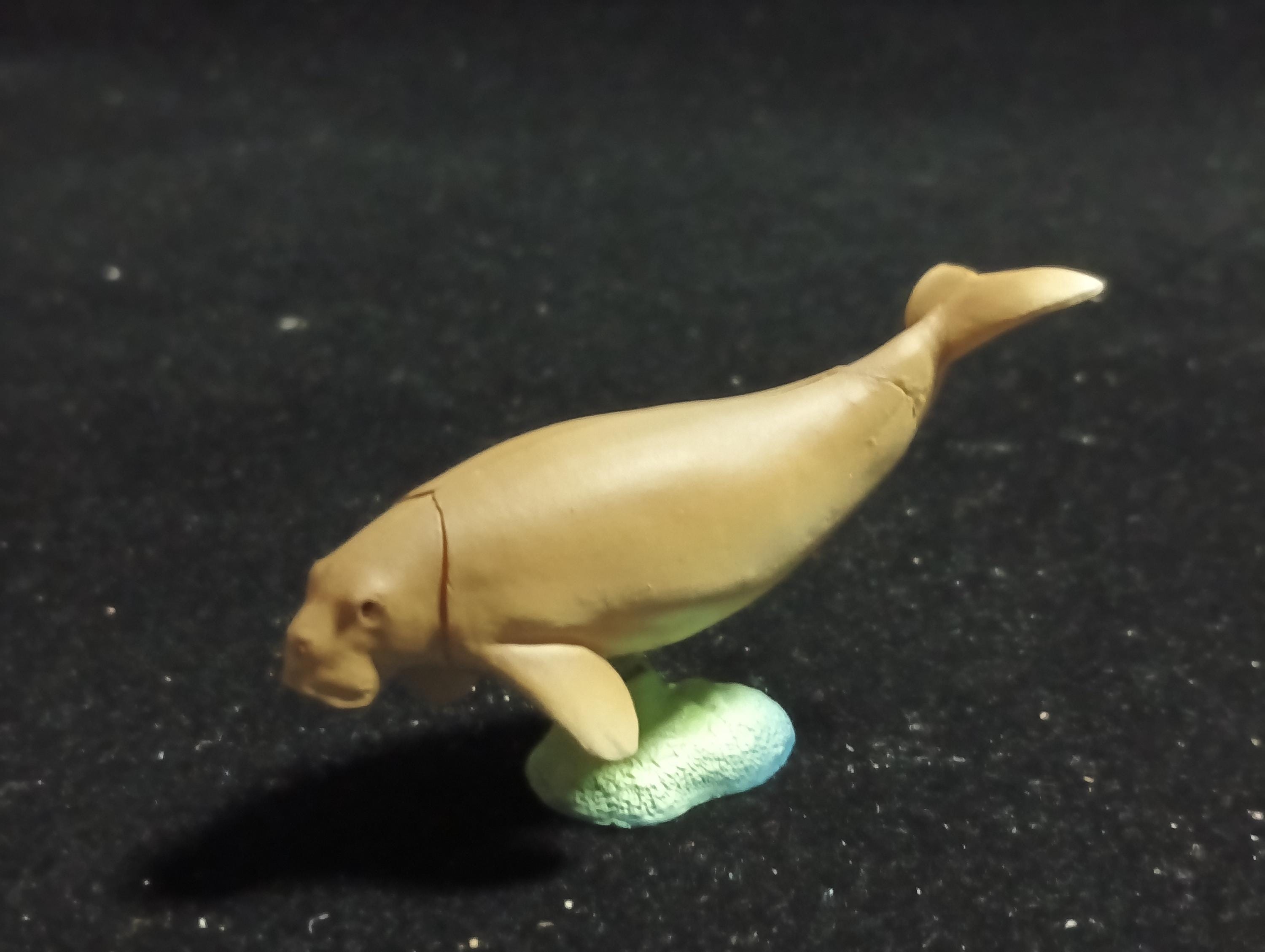 Japanese Animals Okinawa Amami -  Dugong - Kaiyodo Capsule Q Museum #10