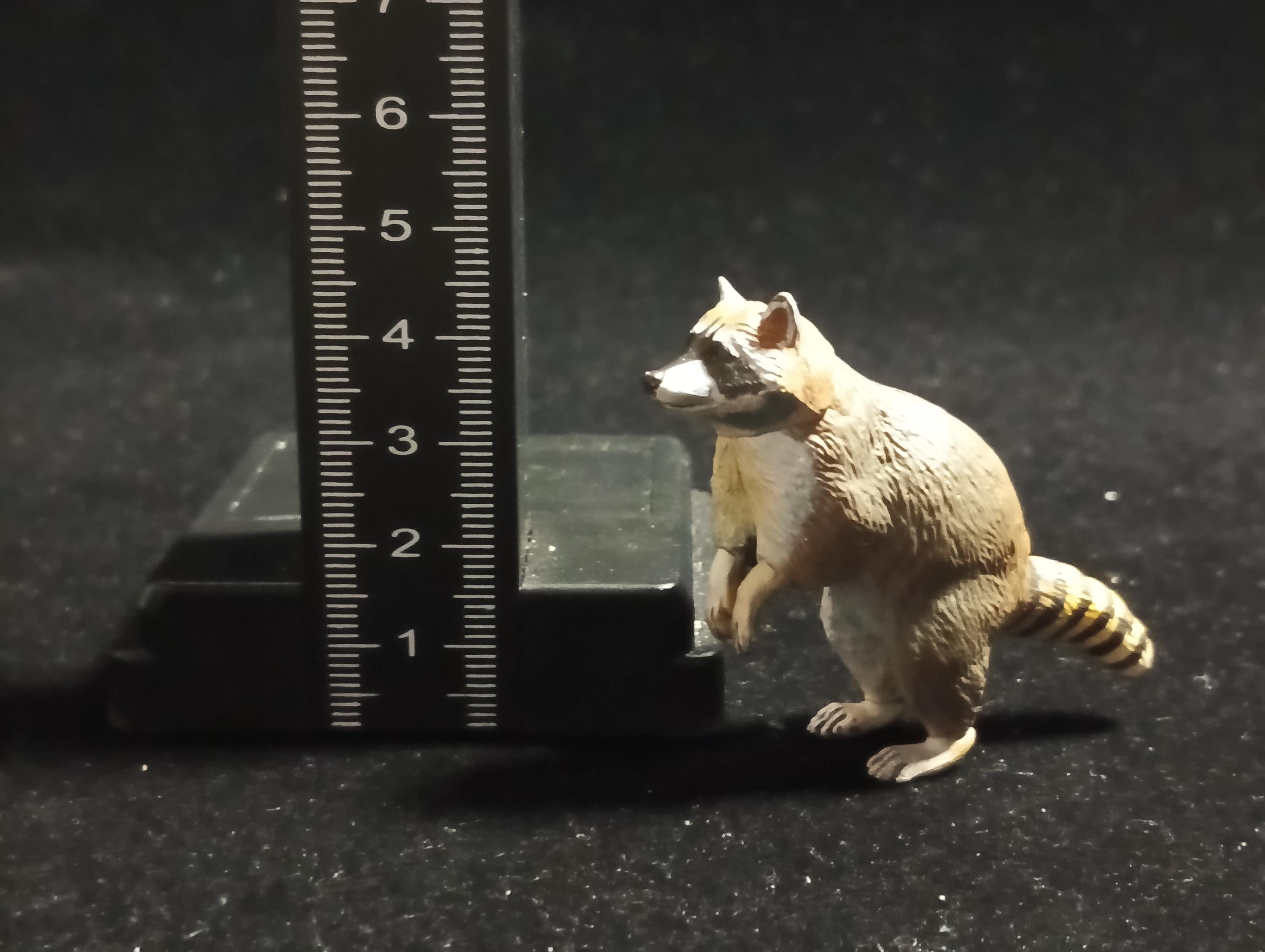 Kaiyodo Capsule Museum Q Japan Exclusive North American Raccoon Animal Figure