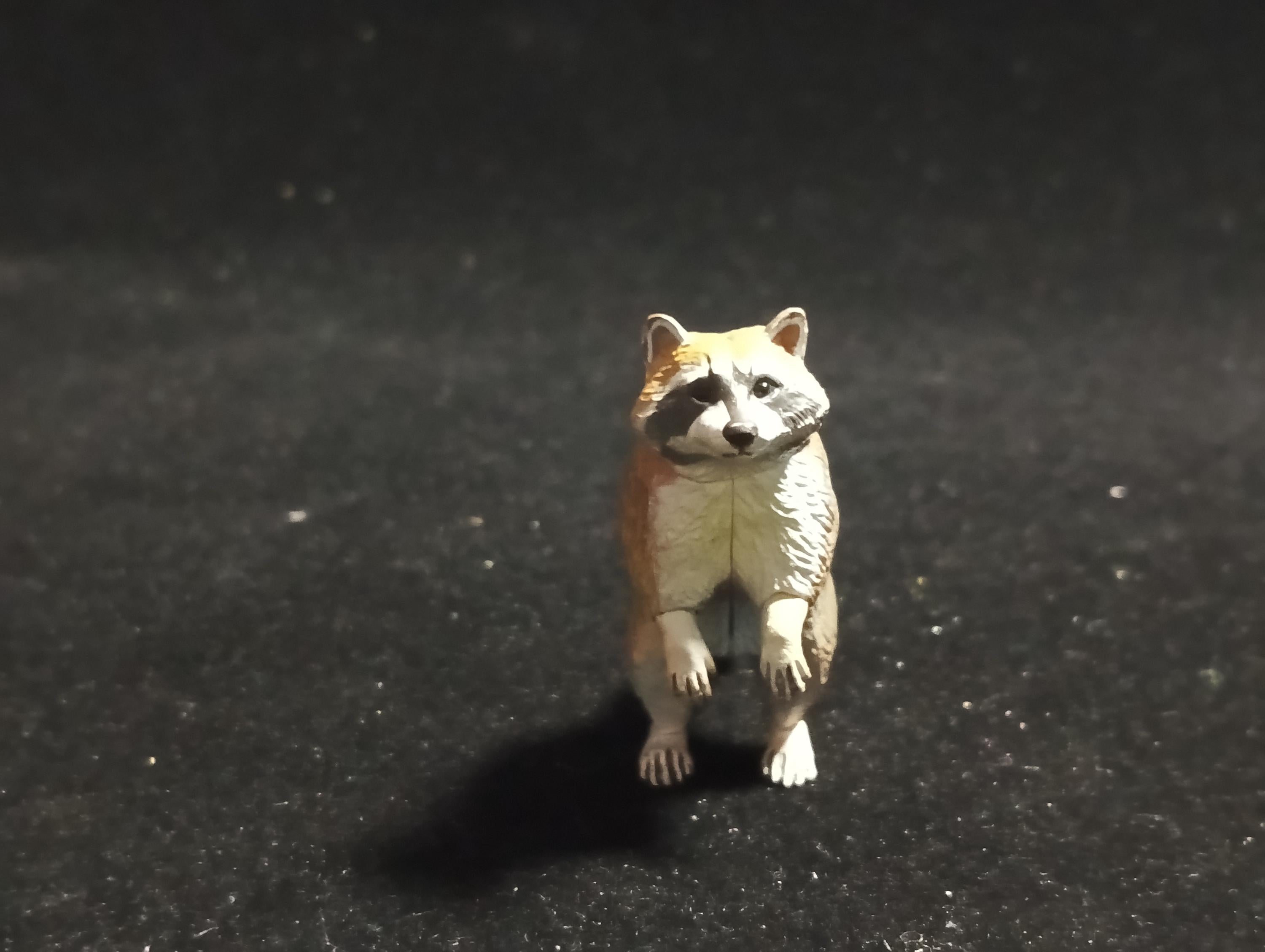Kaiyodo Capsule Museum Q Japan Exclusive North American Raccoon Animal Figure