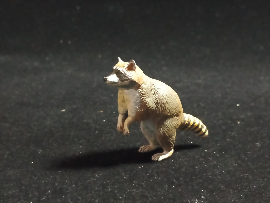 Kaiyodo Capsule Museum Q Japan Exclusive North American Raccoon Animal Figure