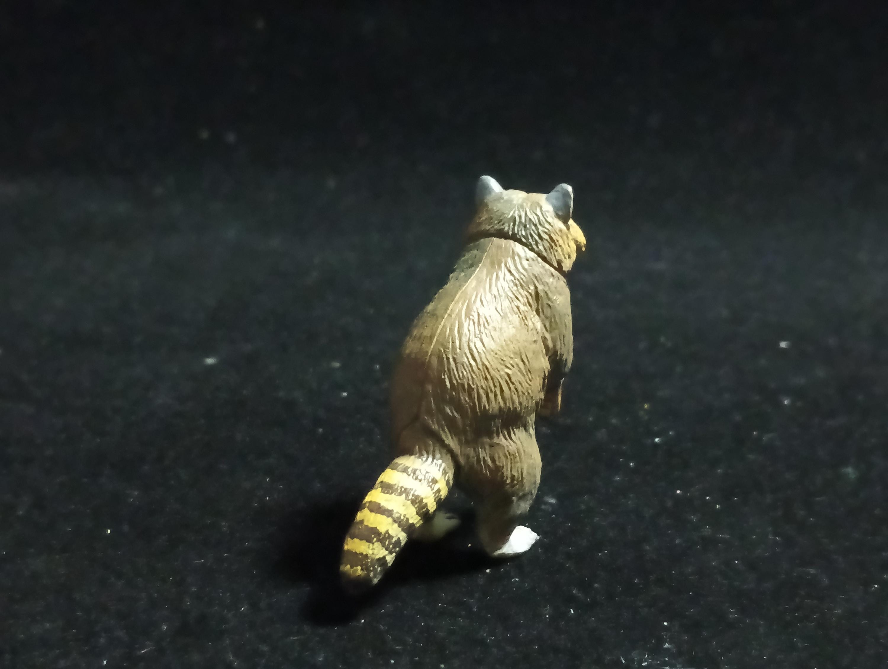 Kaiyodo Capsule Museum Q Japan Exclusive North American Raccoon Animal Figure
