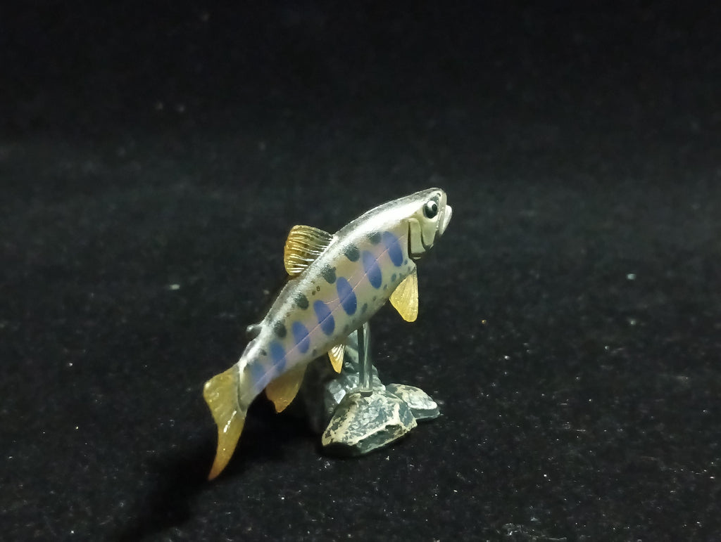 Freshwater Fish Encyclopedia 1: Cherry Trout (Oncorhynchus masou masou), Yujin