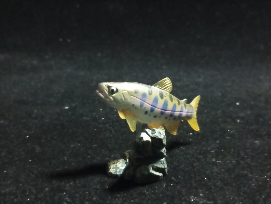 Freshwater Fish Encyclopedia 1: Cherry Trout (Oncorhynchus masou masou), Yujin