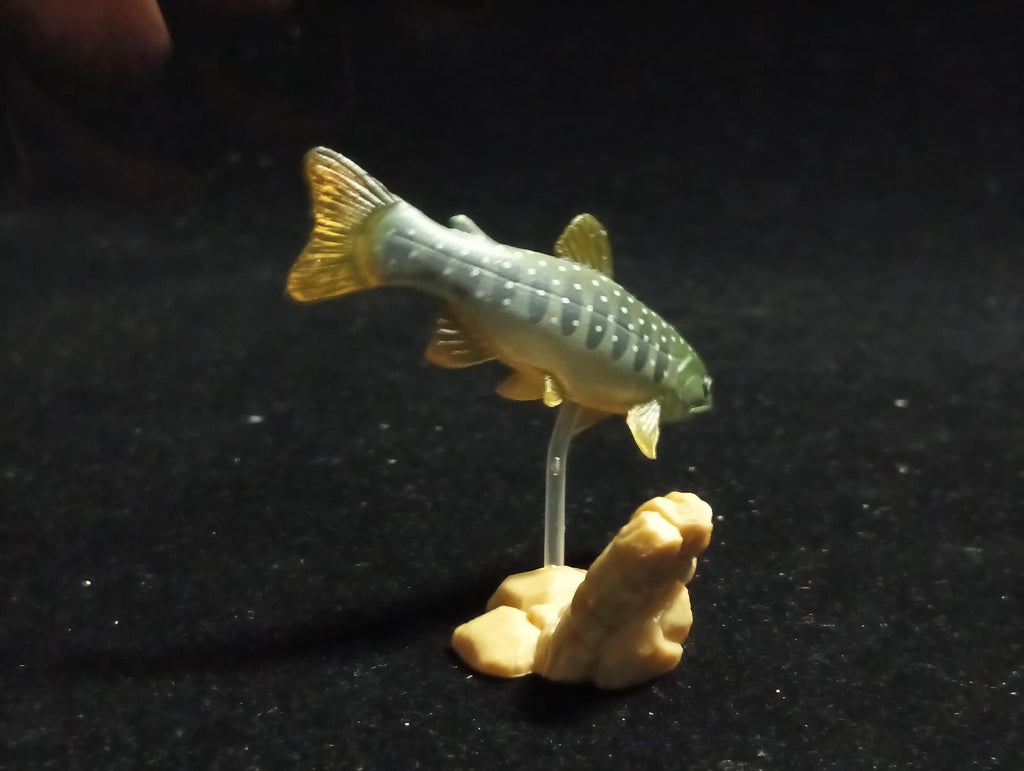 Freshwater Fish Encyclopedia 1: Salvelinus leucomaenis, the whitespotted char, Yujin