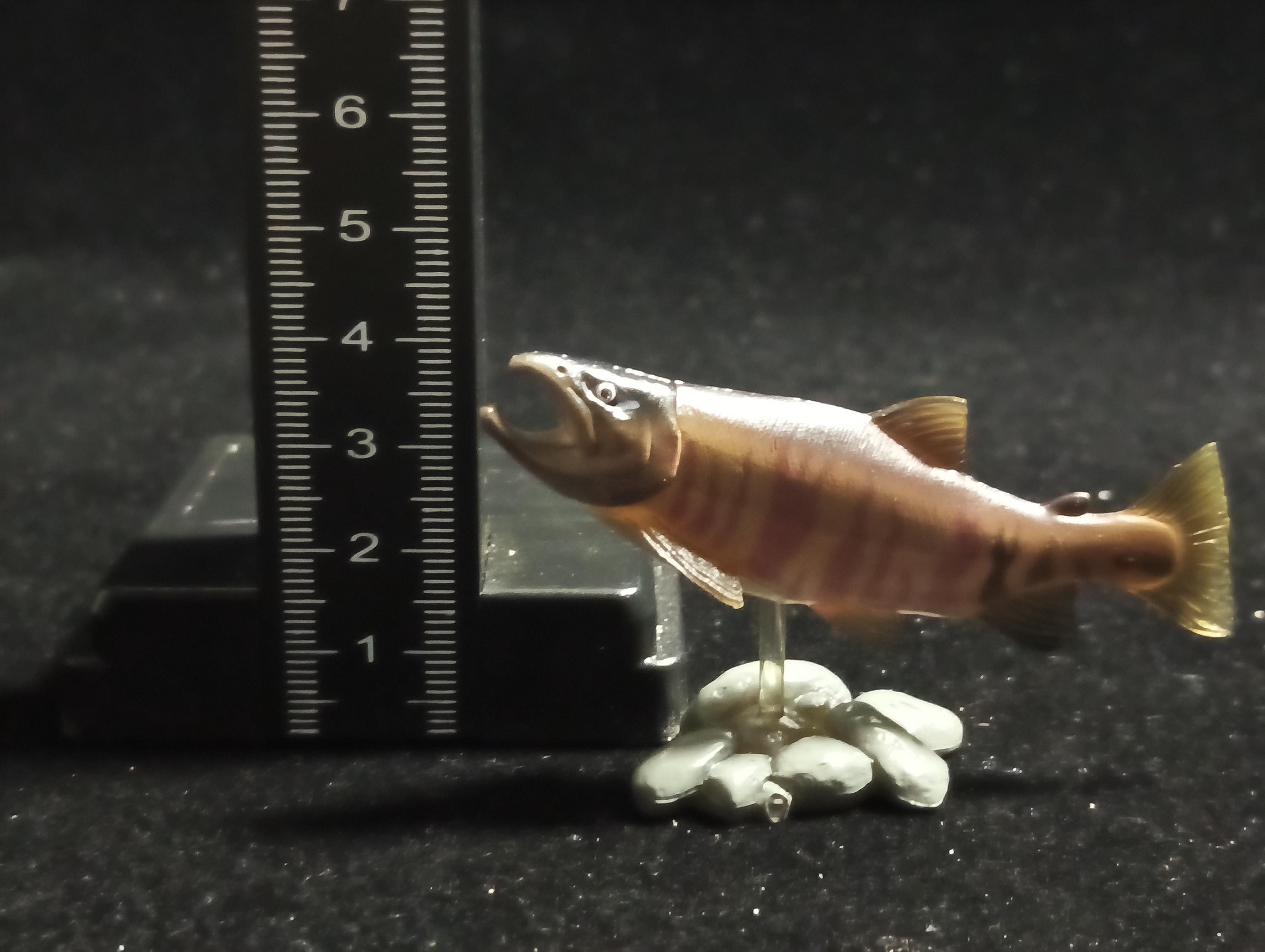 Freshwater Fish Encyclopedia 1: Chum Salmon, Yujin