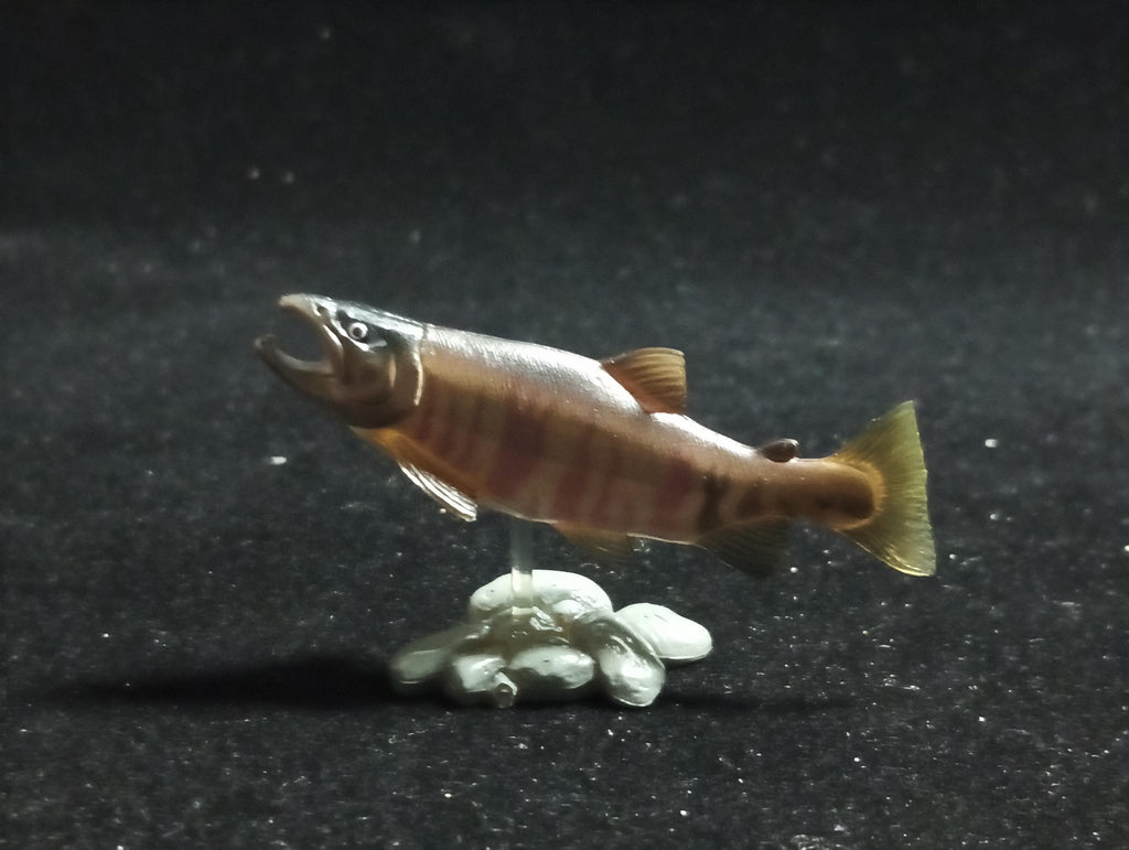Freshwater Fish Encyclopedia 1: Chum Salmon, Yujin