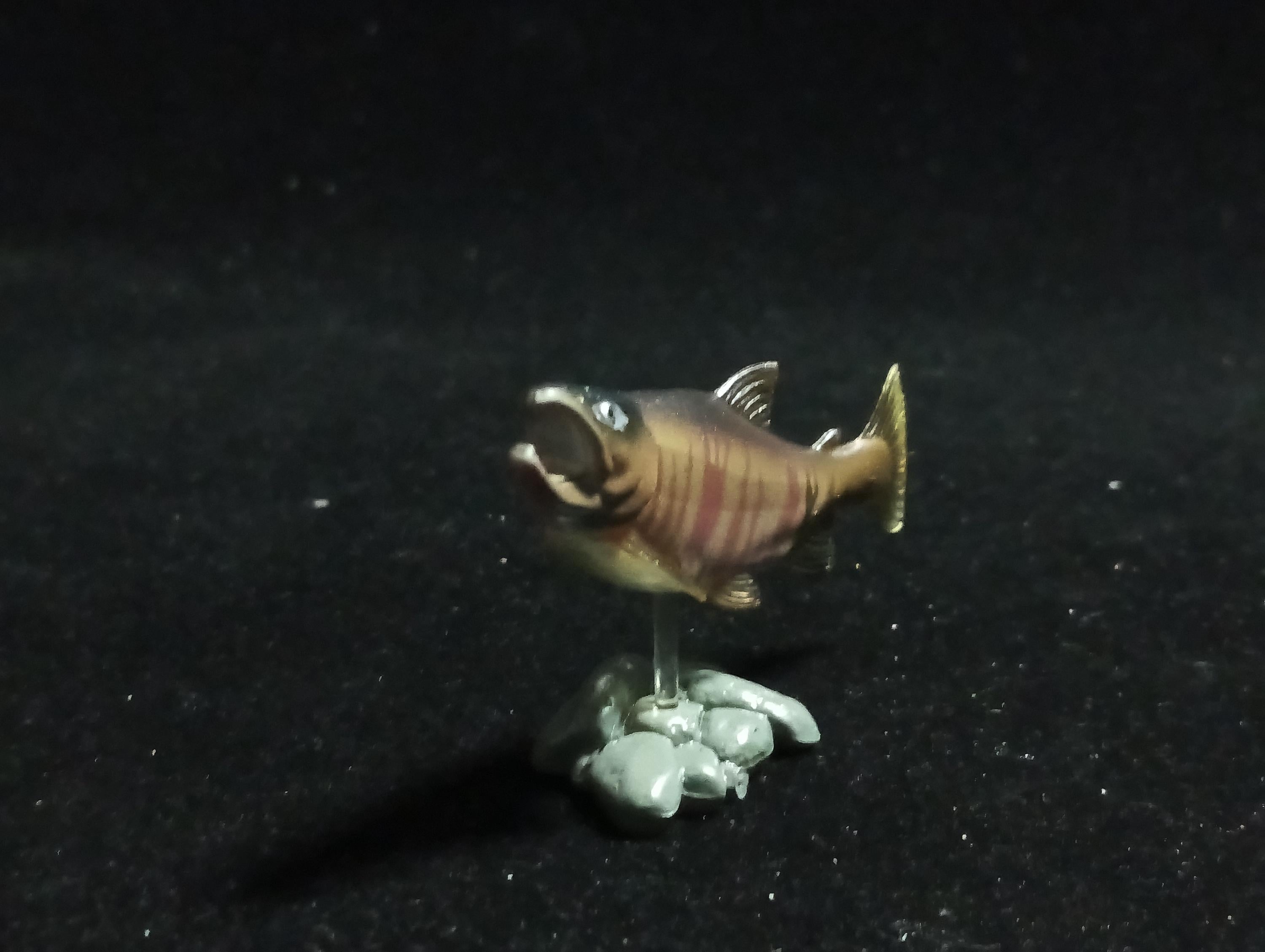 Freshwater Fish Encyclopedia 1: Chum Salmon, Yujin