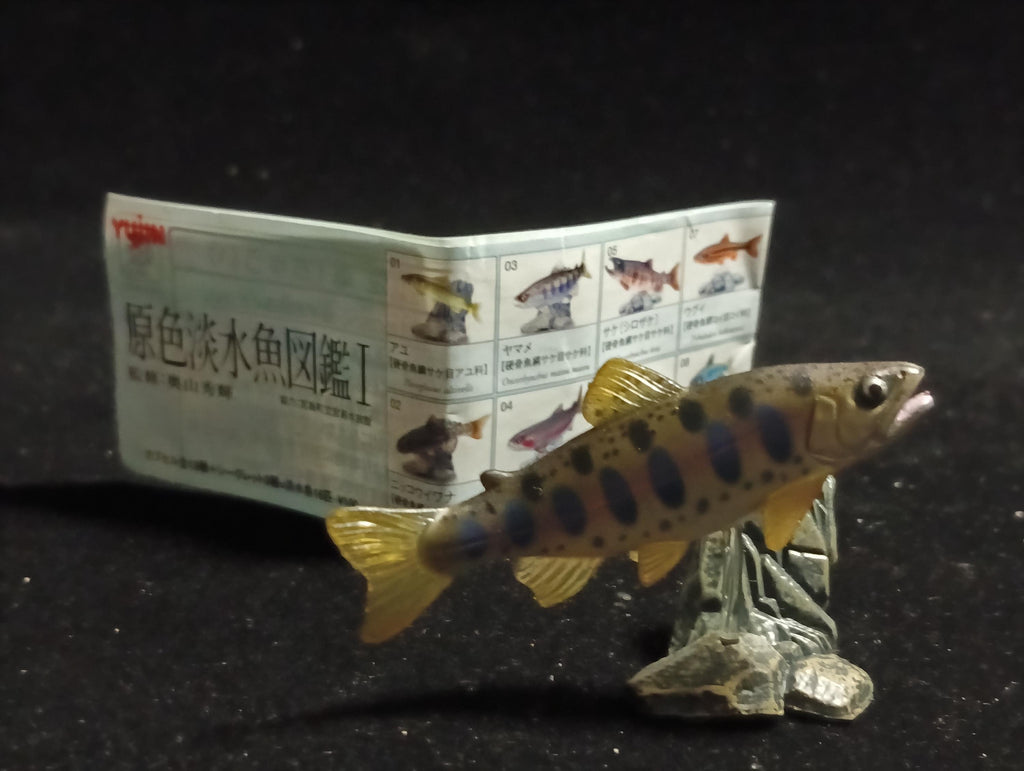 Freshwater Fish Encyclopedia 1: Japanese Masou Salmon Fish , Yujin