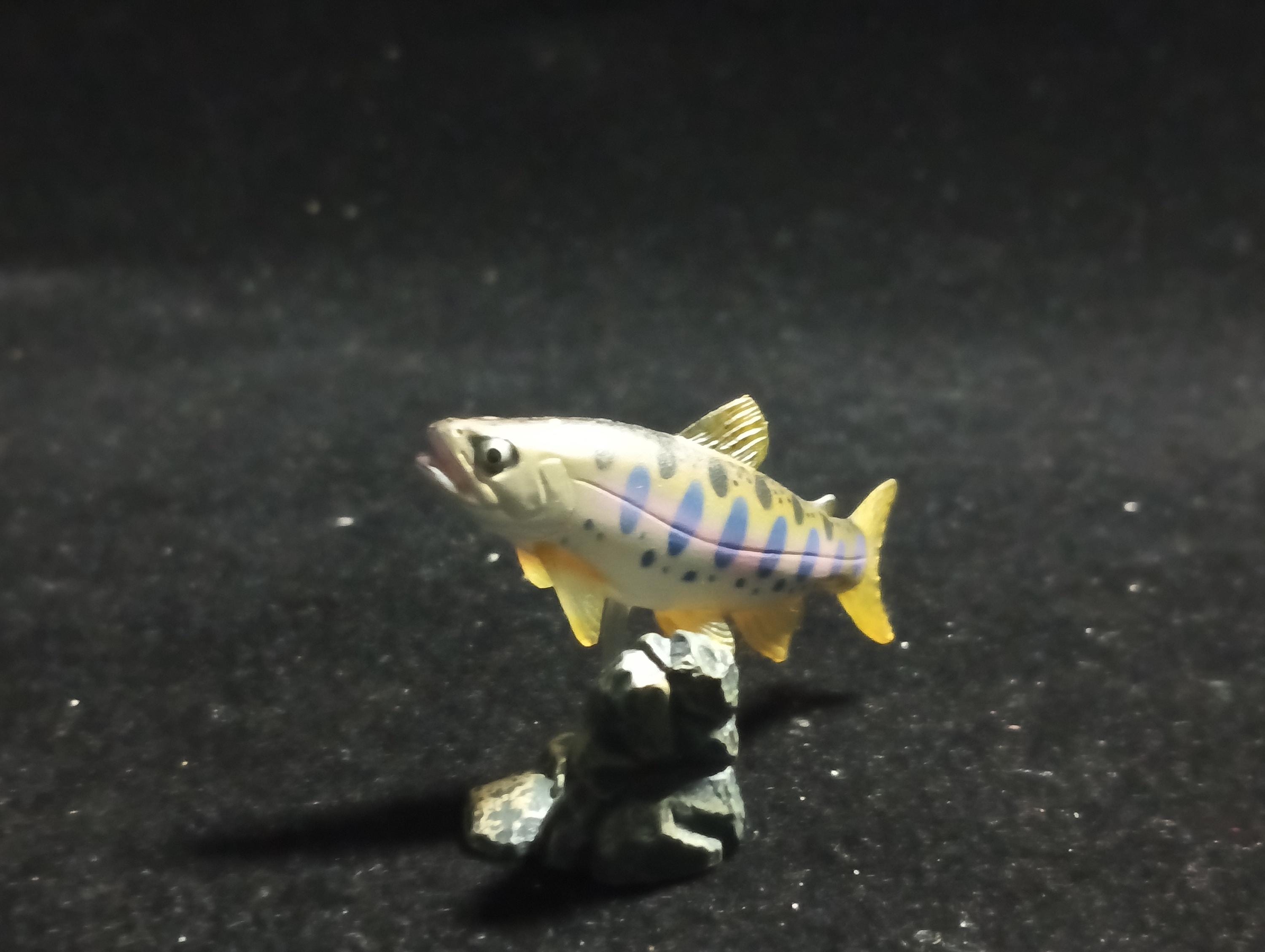 Freshwater Fish Encyclopedia 1: Japanese Masou Salmon Fish , Yujin