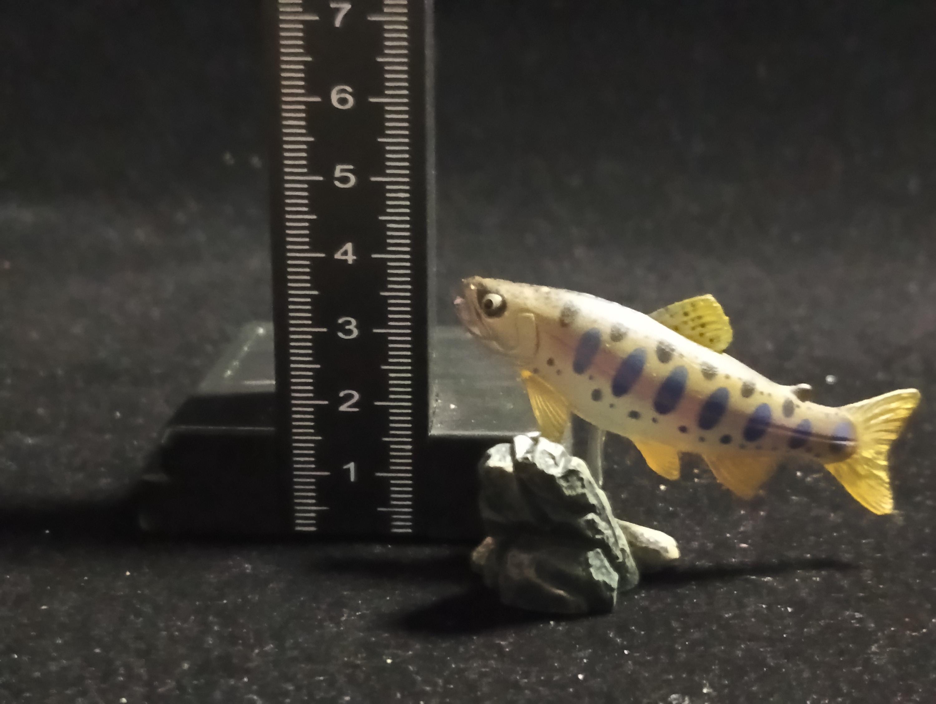 Freshwater Fish Encyclopedia 1: Japanese Masou Salmon Fish , Yujin