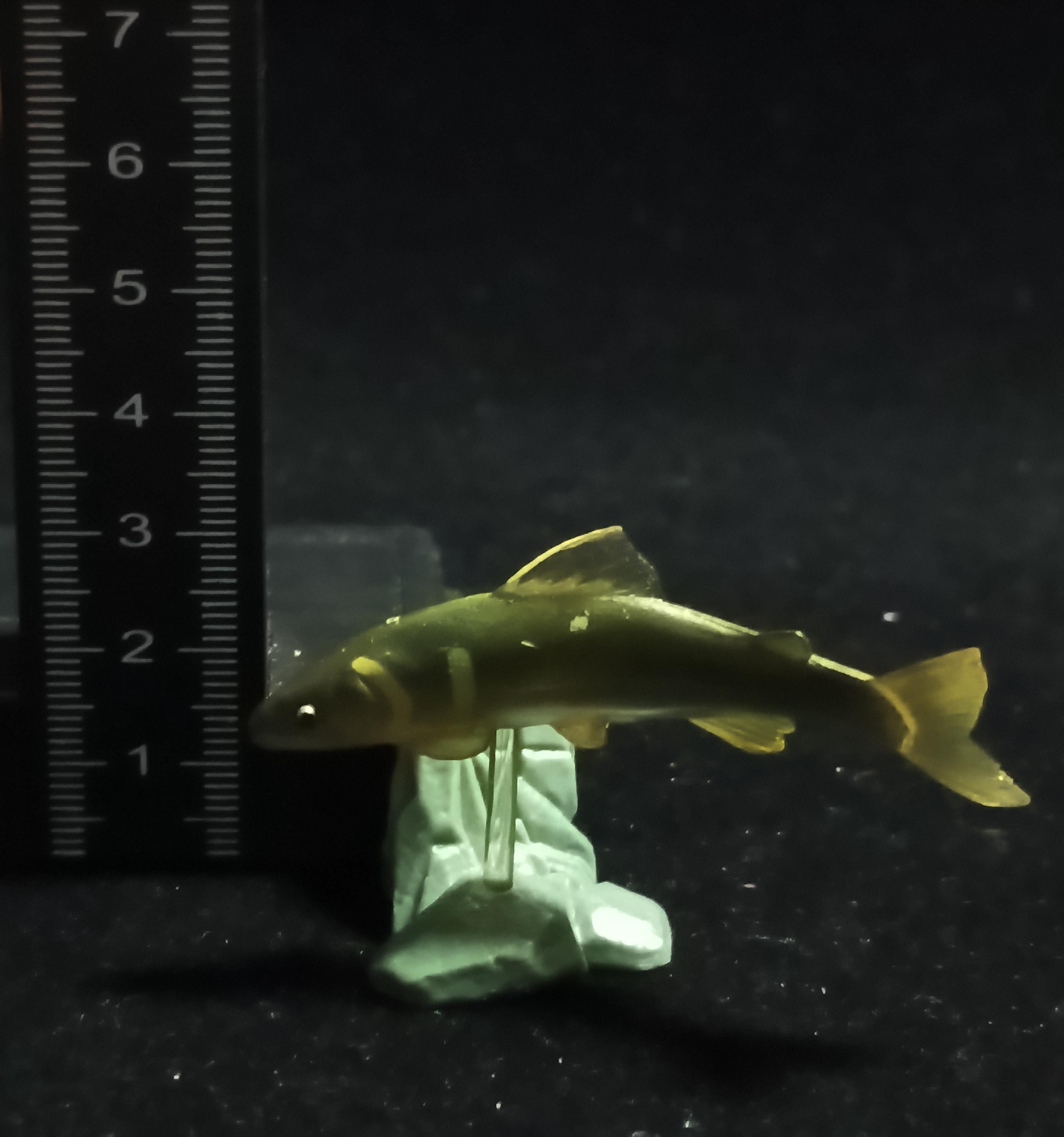 Freshwater Fish Encyclopedia 1: Plecoglossus altivelis , Yujin
