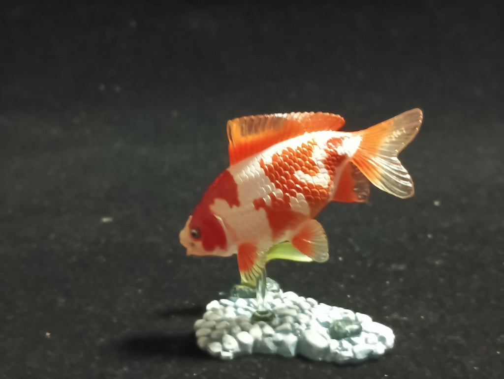 Freshwater Fish Encyclopedia 1:   Goldfish Wakin White/Orange, Yujin