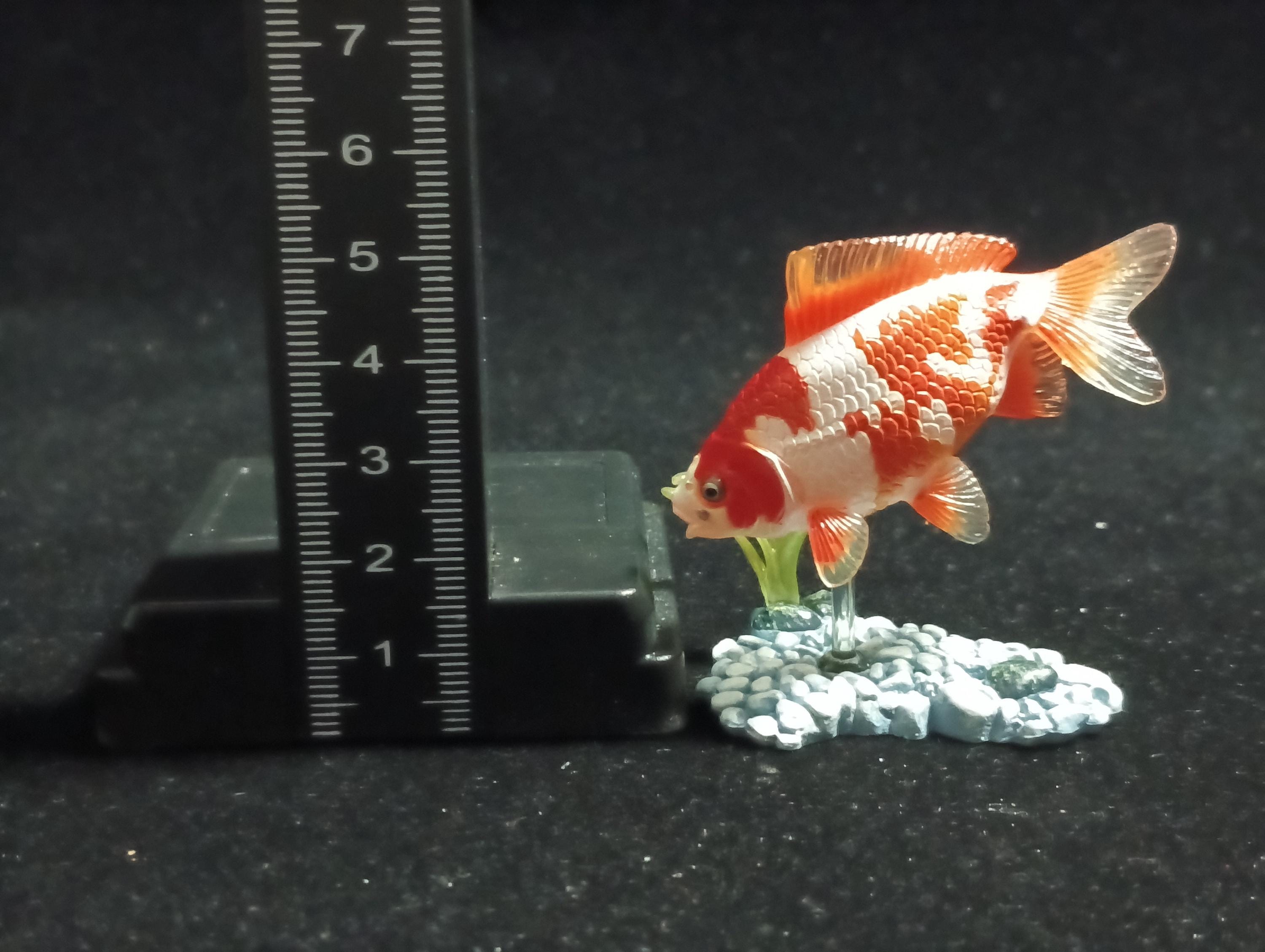 Freshwater Fish Encyclopedia 1:   Goldfish Wakin White/Orange, Yujin