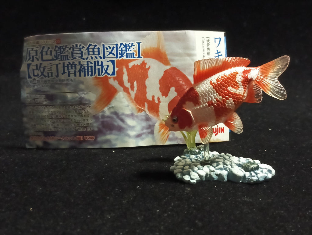 Freshwater Fish Encyclopedia 1:   Goldfish Wakin White/Orange, Yujin
