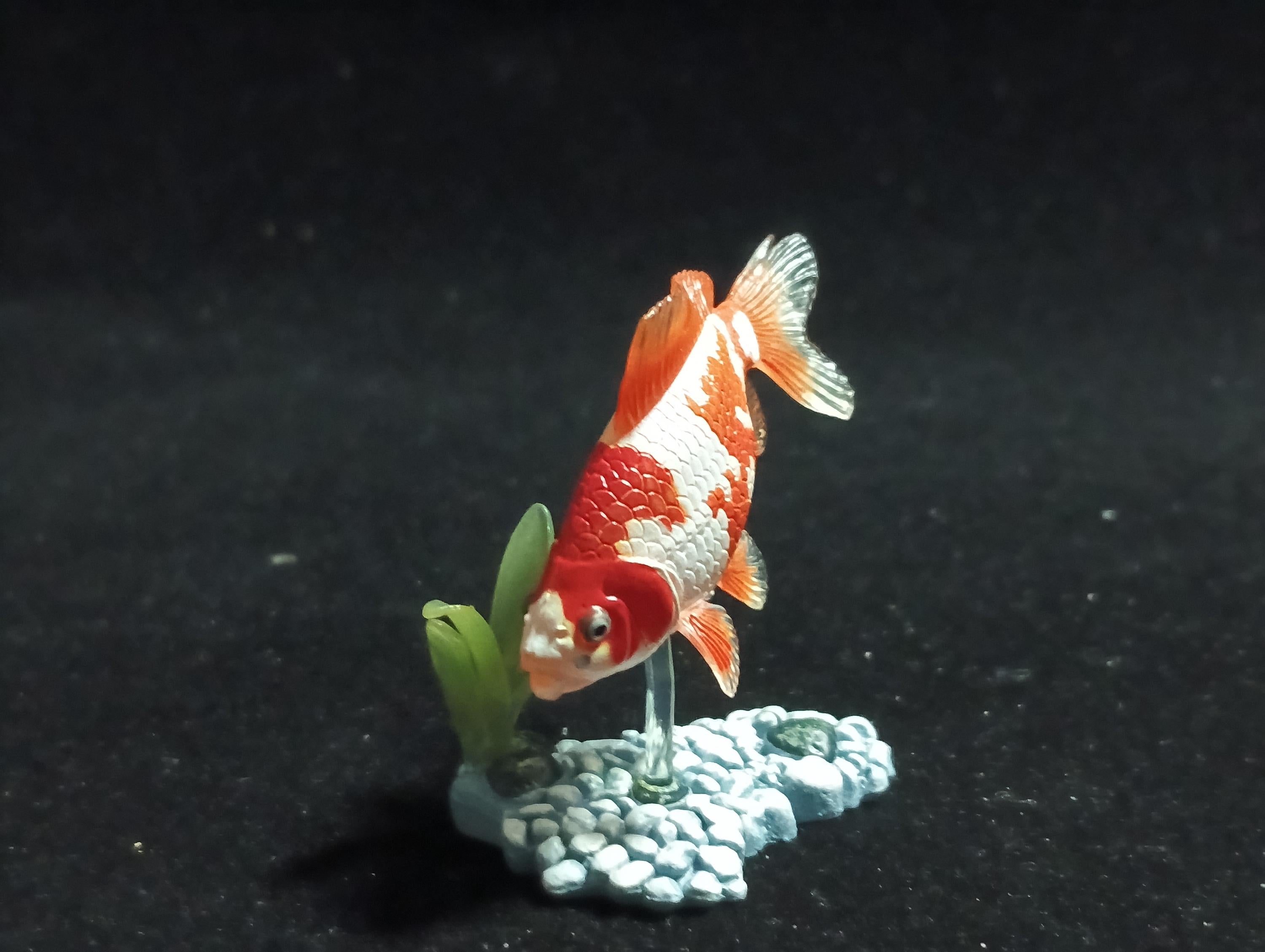 Freshwater Fish Encyclopedia 1:   Goldfish Wakin White/Orange, Yujin