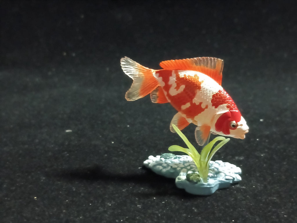 Freshwater Fish Encyclopedia 1:   Goldfish Wakin White/Orange, Yujin