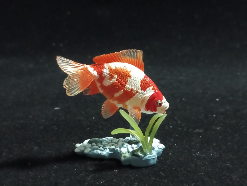 Freshwater Fish Encyclopedia 1:   Goldfish Wakin White/Orange, Yujin