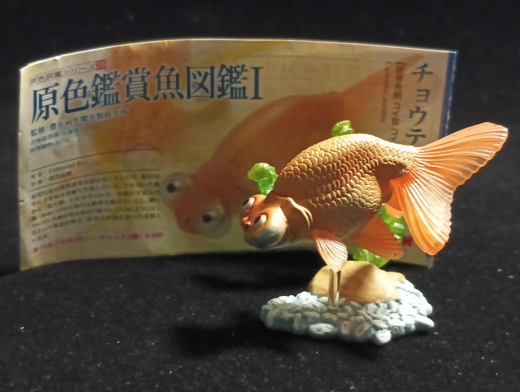 Freshwater Fish Encyclopedia 1:   Celestial Eye Goldfish A, Yujin