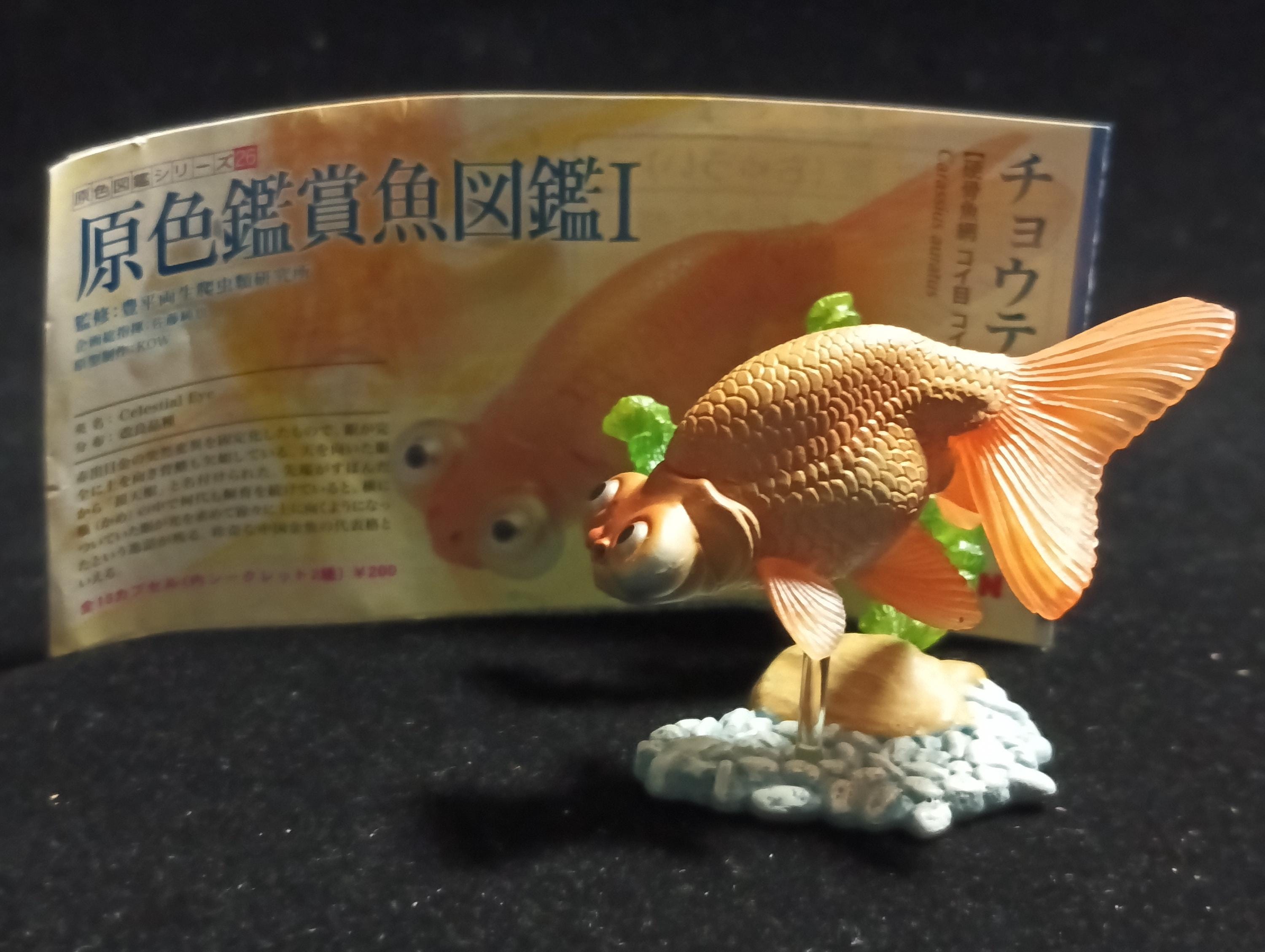 Freshwater Fish Encyclopedia 1:   Celestial Eye Goldfish A, Yujin
