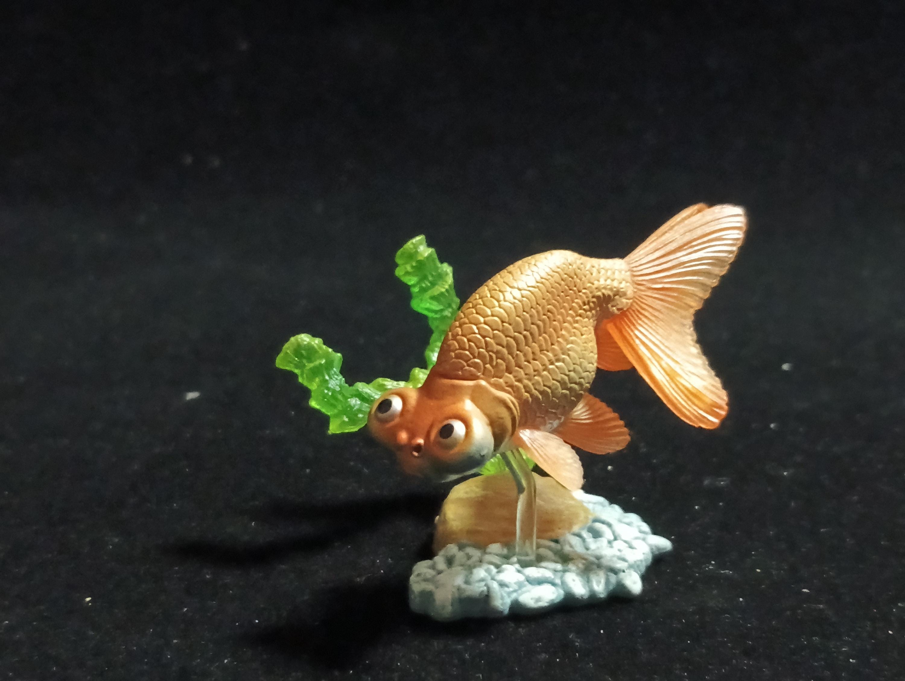 Freshwater Fish Encyclopedia 1:   Celestial Eye Goldfish A, Yujin