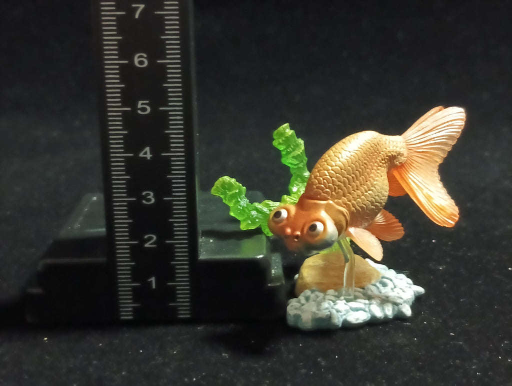 Freshwater Fish Encyclopedia 1:   Celestial Eye Goldfish A, Yujin