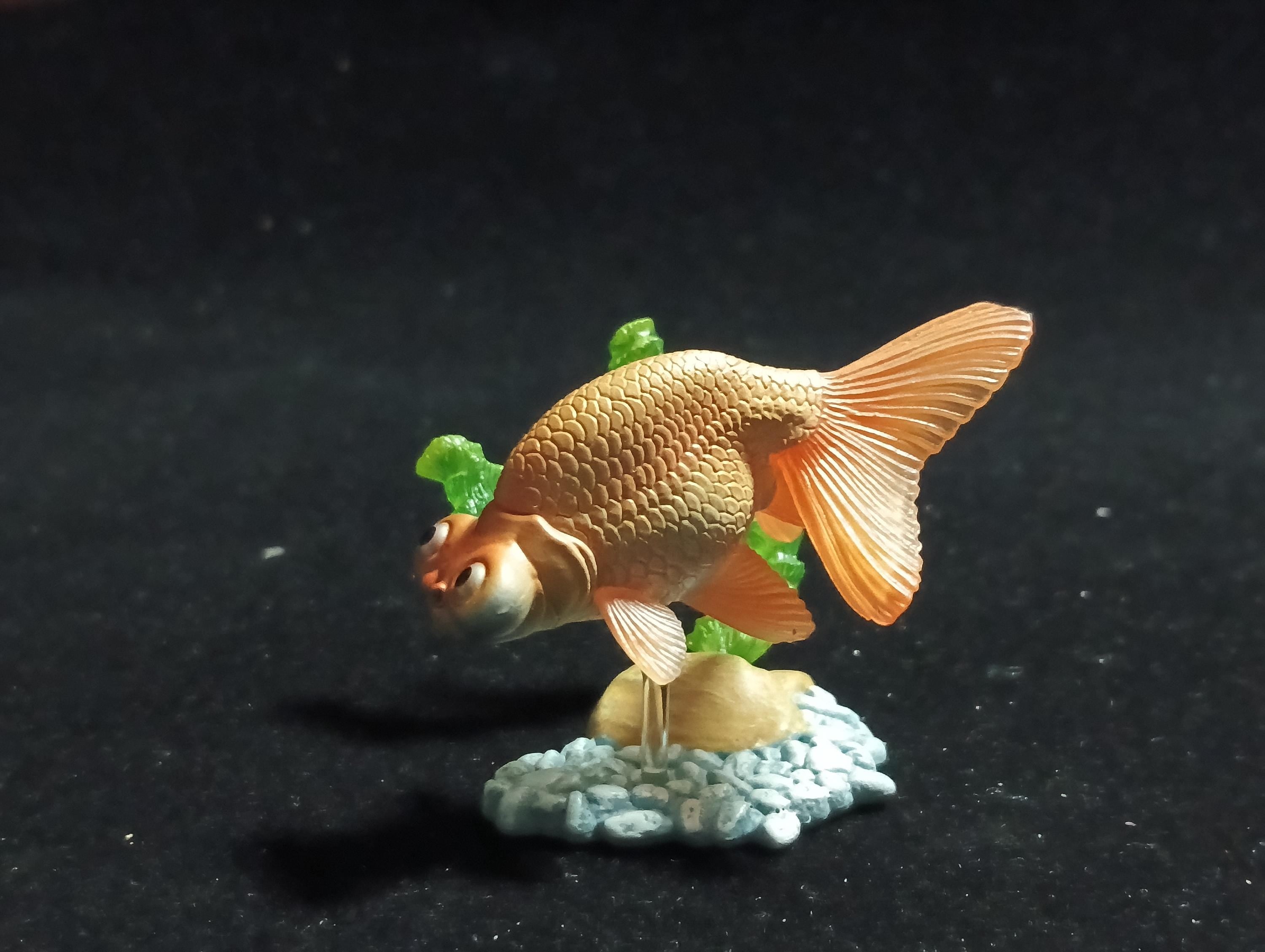 Freshwater Fish Encyclopedia 1:   Celestial Eye Goldfish A, Yujin