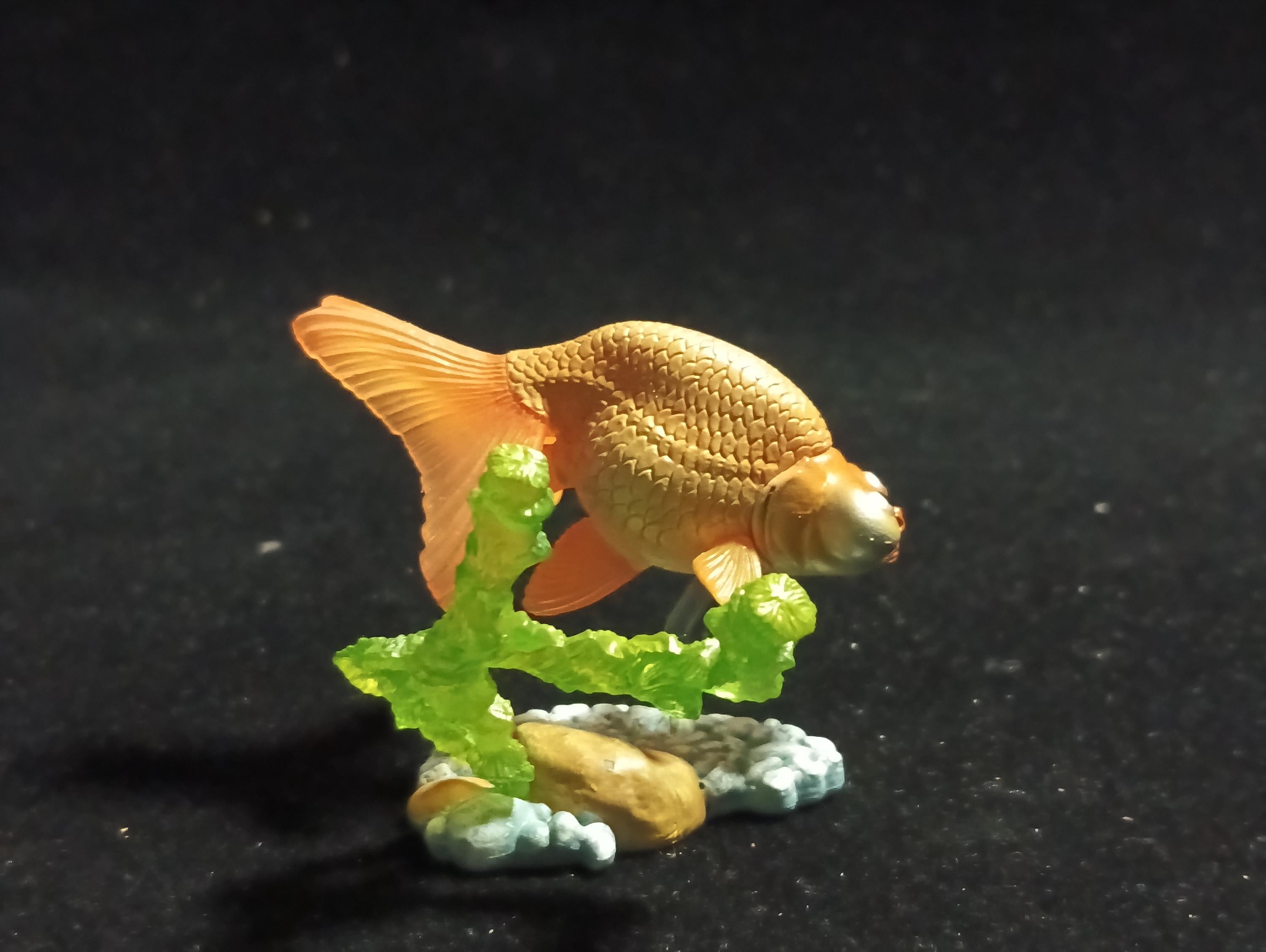 Freshwater Fish Encyclopedia 1:   Celestial Eye Goldfish A, Yujin