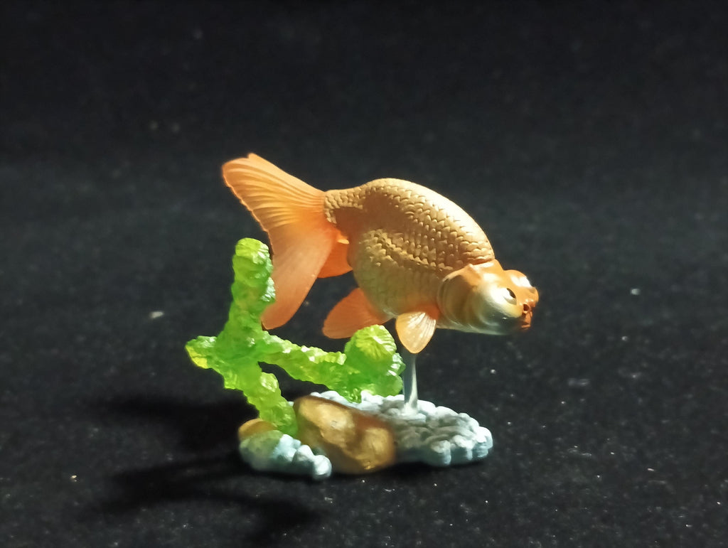Freshwater Fish Encyclopedia 1:   Celestial Eye Goldfish A, Yujin