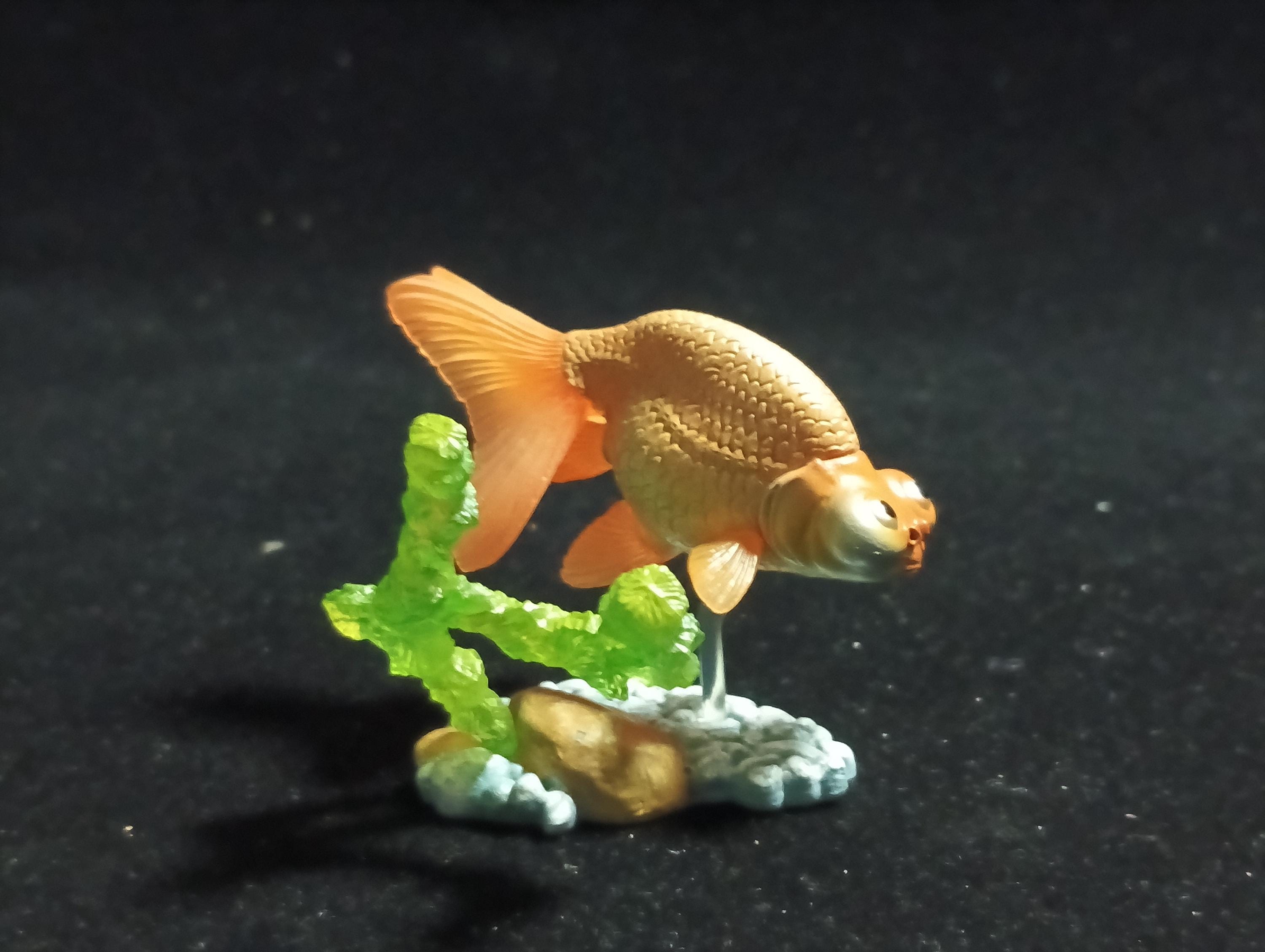Freshwater Fish Encyclopedia 1:   Celestial Eye Goldfish A, Yujin
