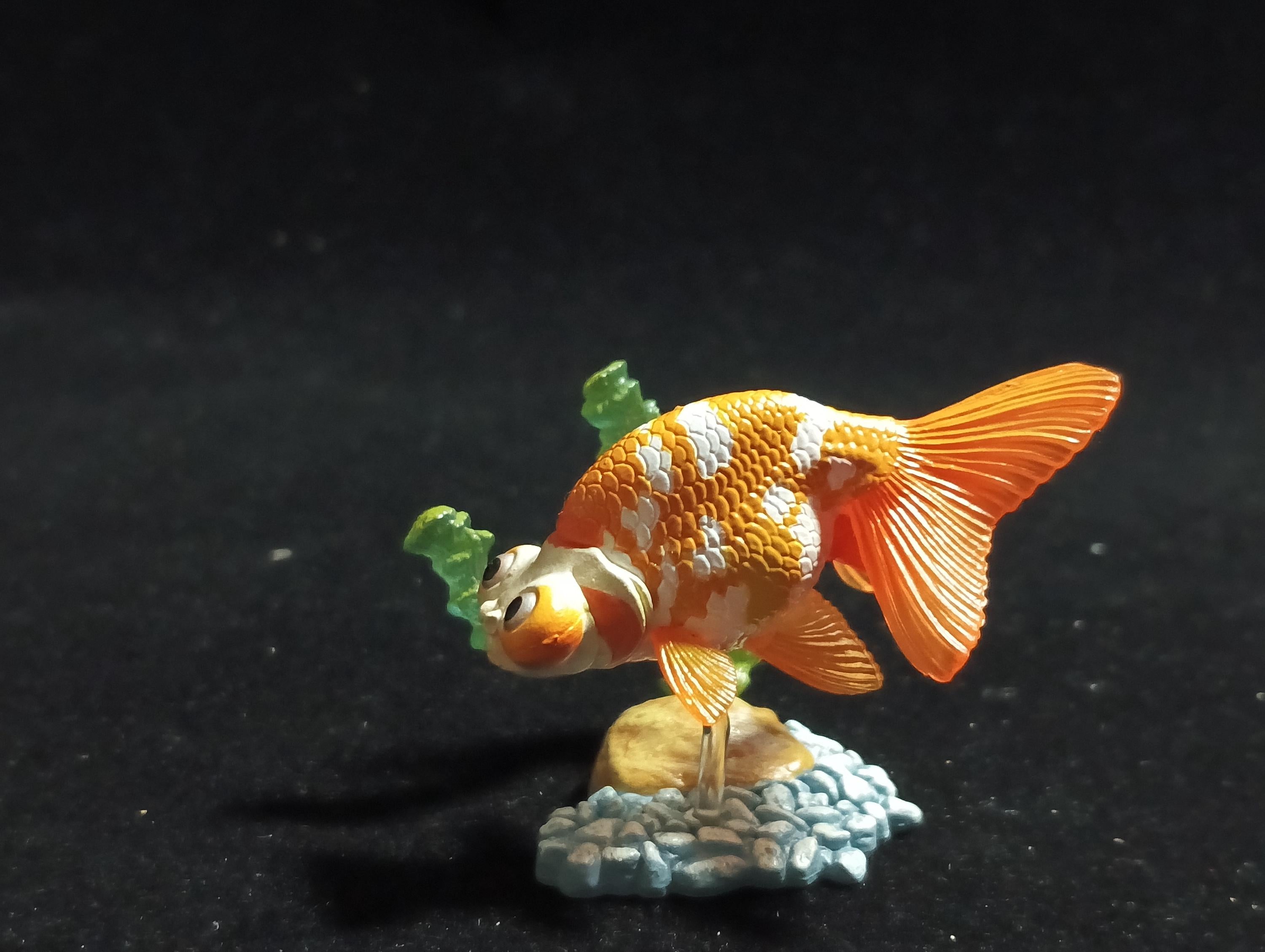 Freshwater Fish Encyclopedia 1:   Celestial Eye Goldfish B, Yujin