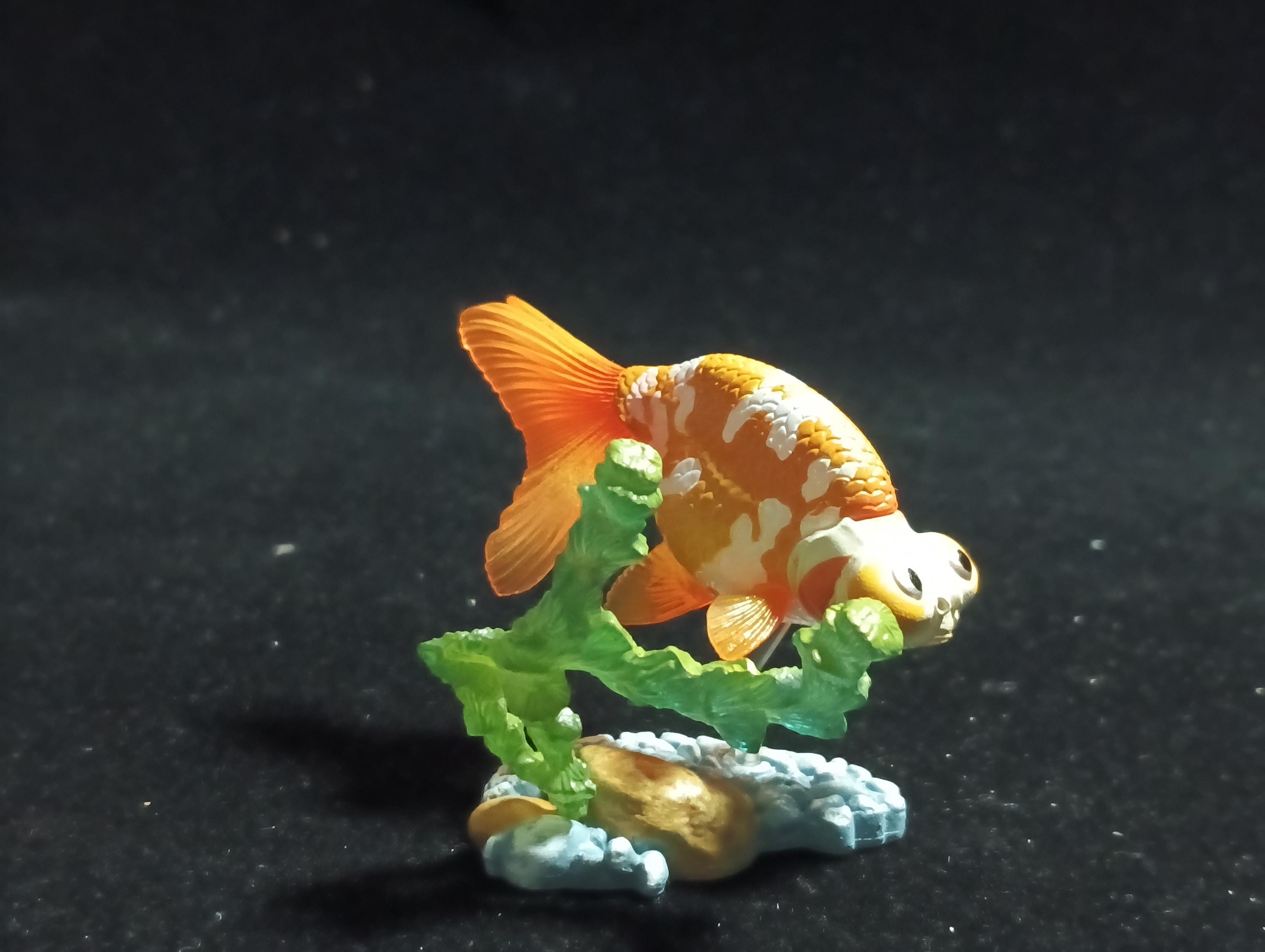 Freshwater Fish Encyclopedia 1:   Celestial Eye Goldfish B, Yujin