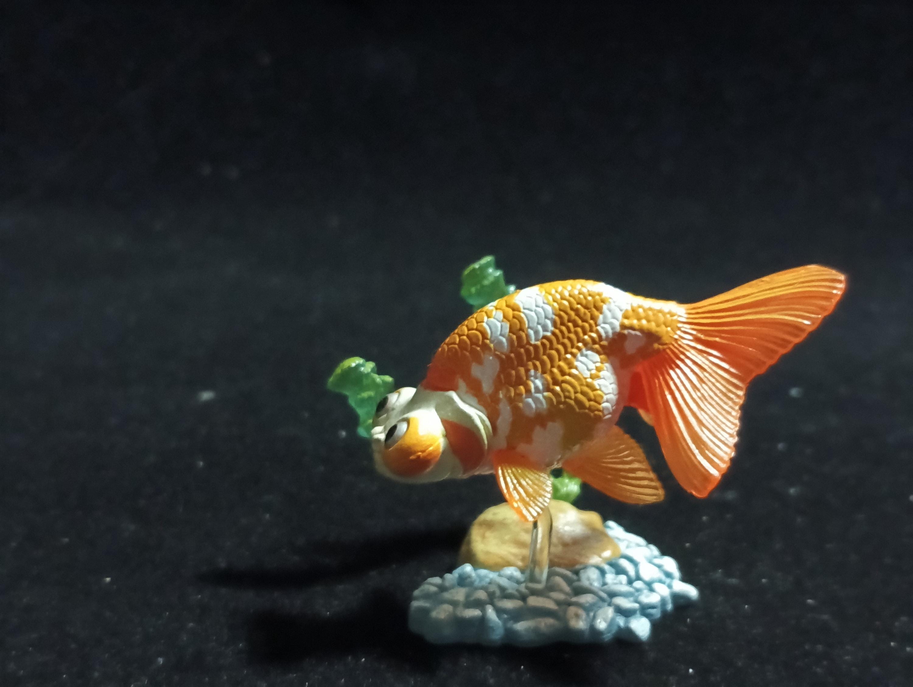 Freshwater Fish Encyclopedia 1:   Celestial Eye Goldfish B, Yujin