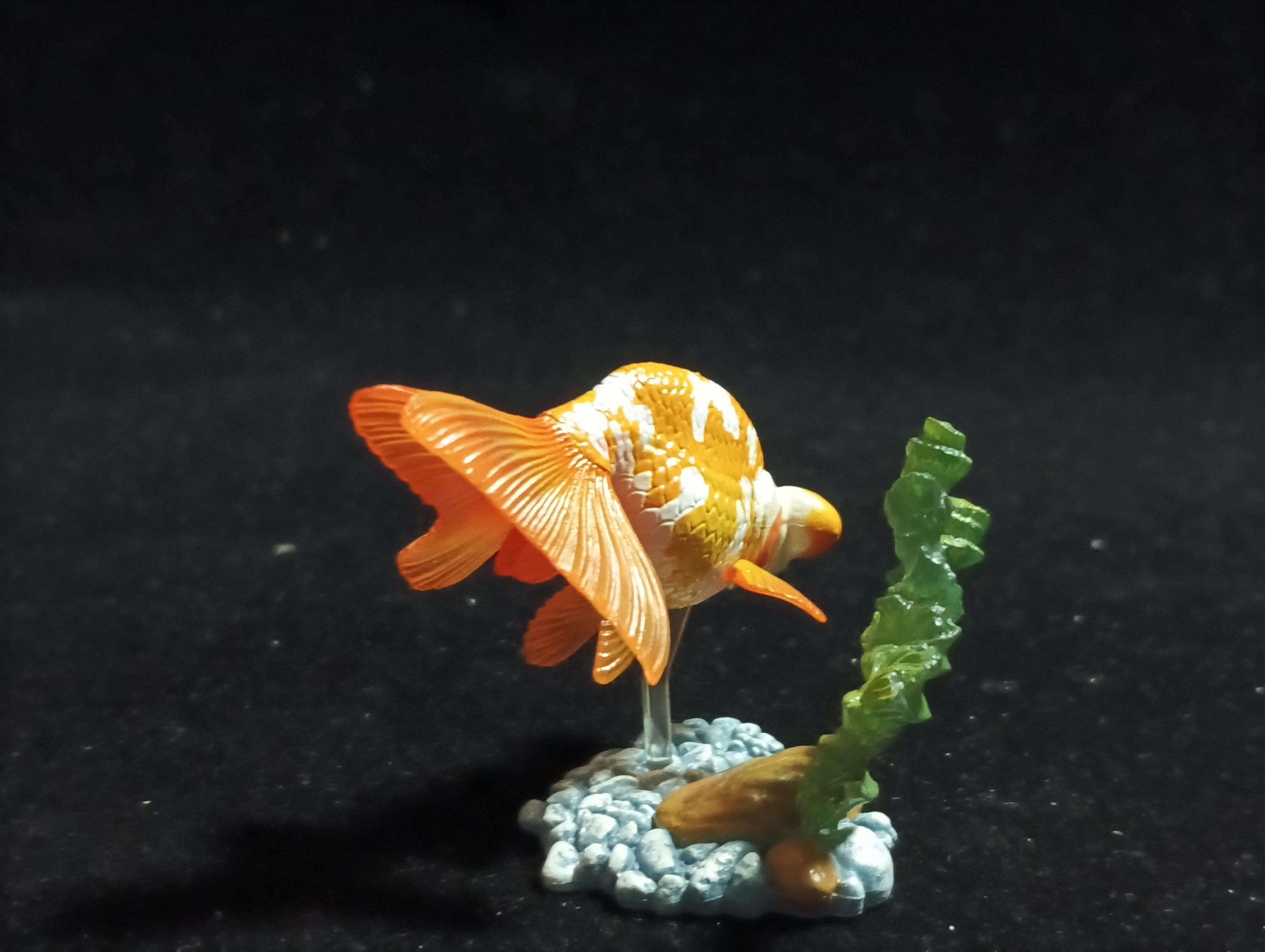 Freshwater Fish Encyclopedia 1:   Celestial Eye Goldfish B, Yujin