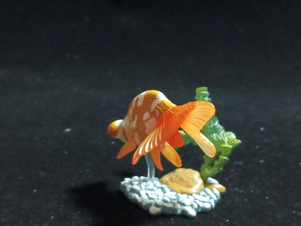 Freshwater Fish Encyclopedia 1:   Celestial Eye Goldfish B, Yujin