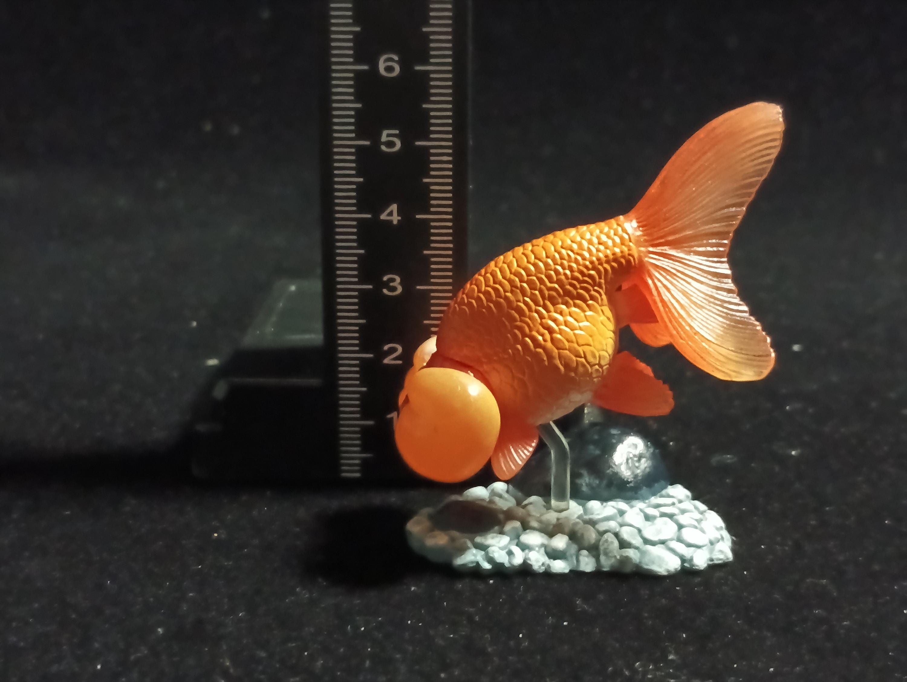 Freshwater Fish Encyclopedia 1:  Bubble Eye Goldfish Fish, Yujin