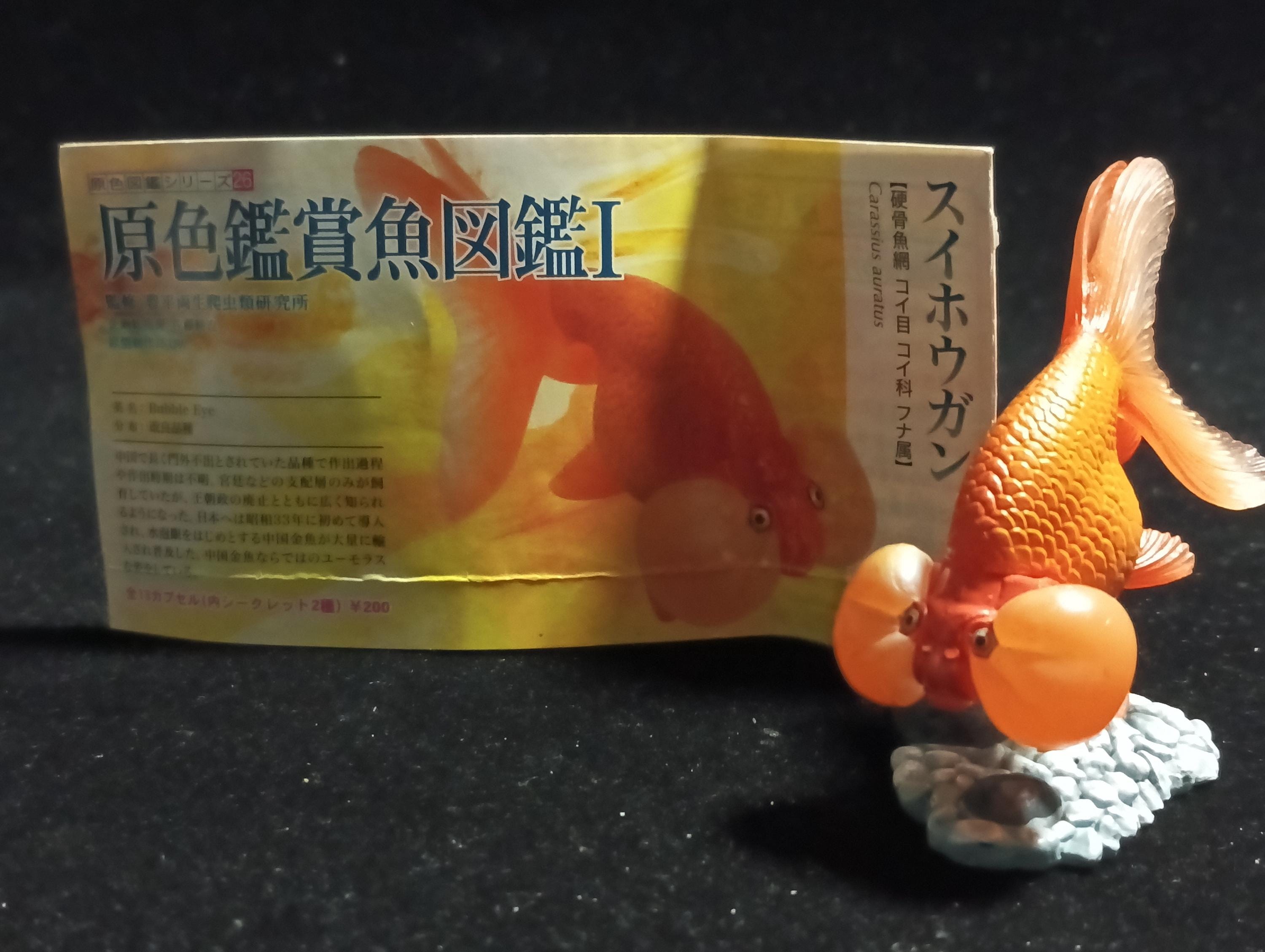 Freshwater Fish Encyclopedia 1:  Bubble Eye Goldfish Fish, Yujin