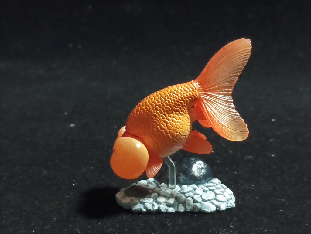 Freshwater Fish Encyclopedia 1:  Bubble Eye Goldfish Fish, Yujin