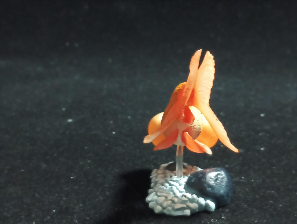 Freshwater Fish Encyclopedia 1:  Bubble Eye Goldfish Fish, Yujin