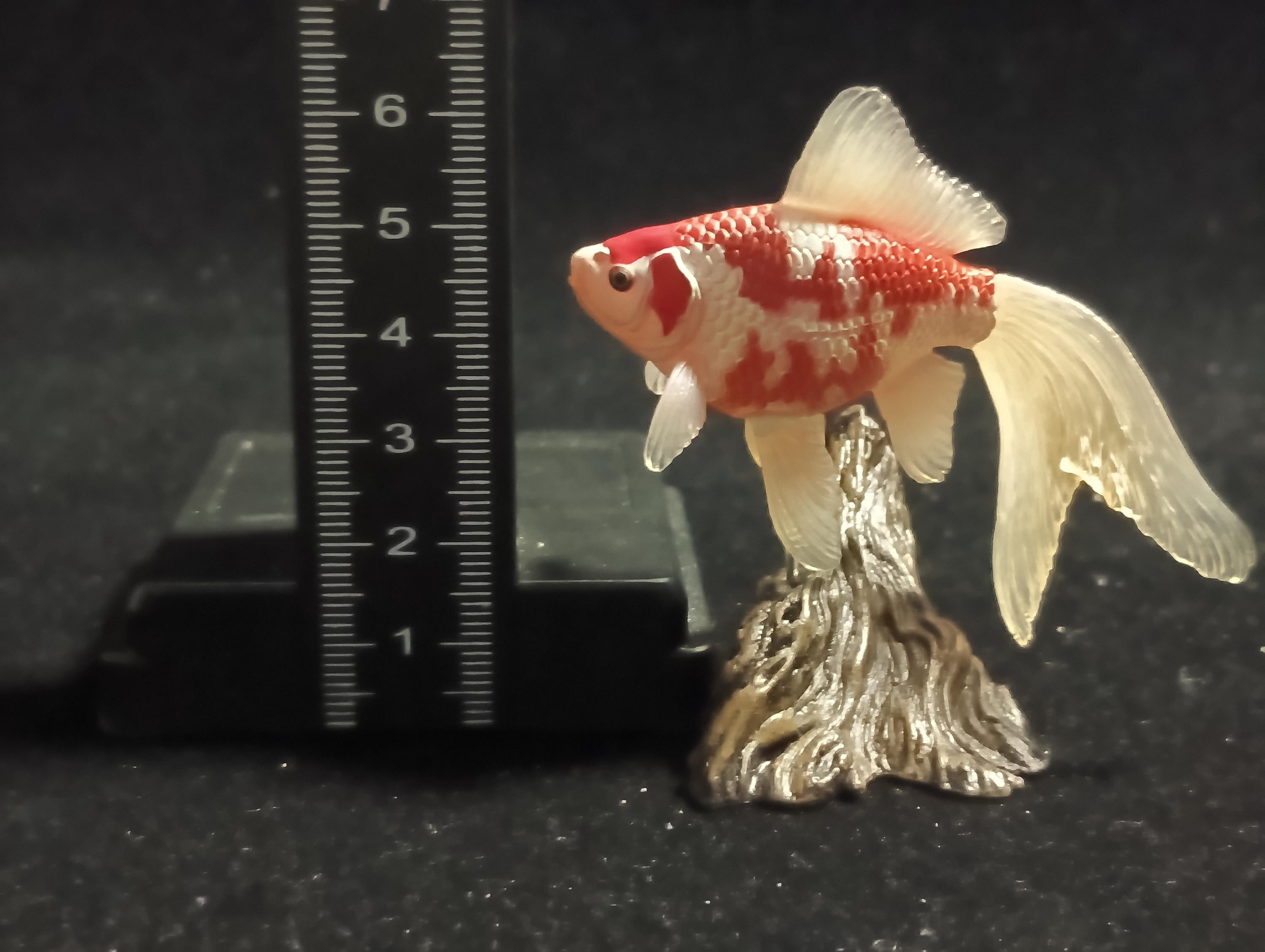 Freshwater Fish Encyclopedia 1:  Comet Goldfish, Yujin