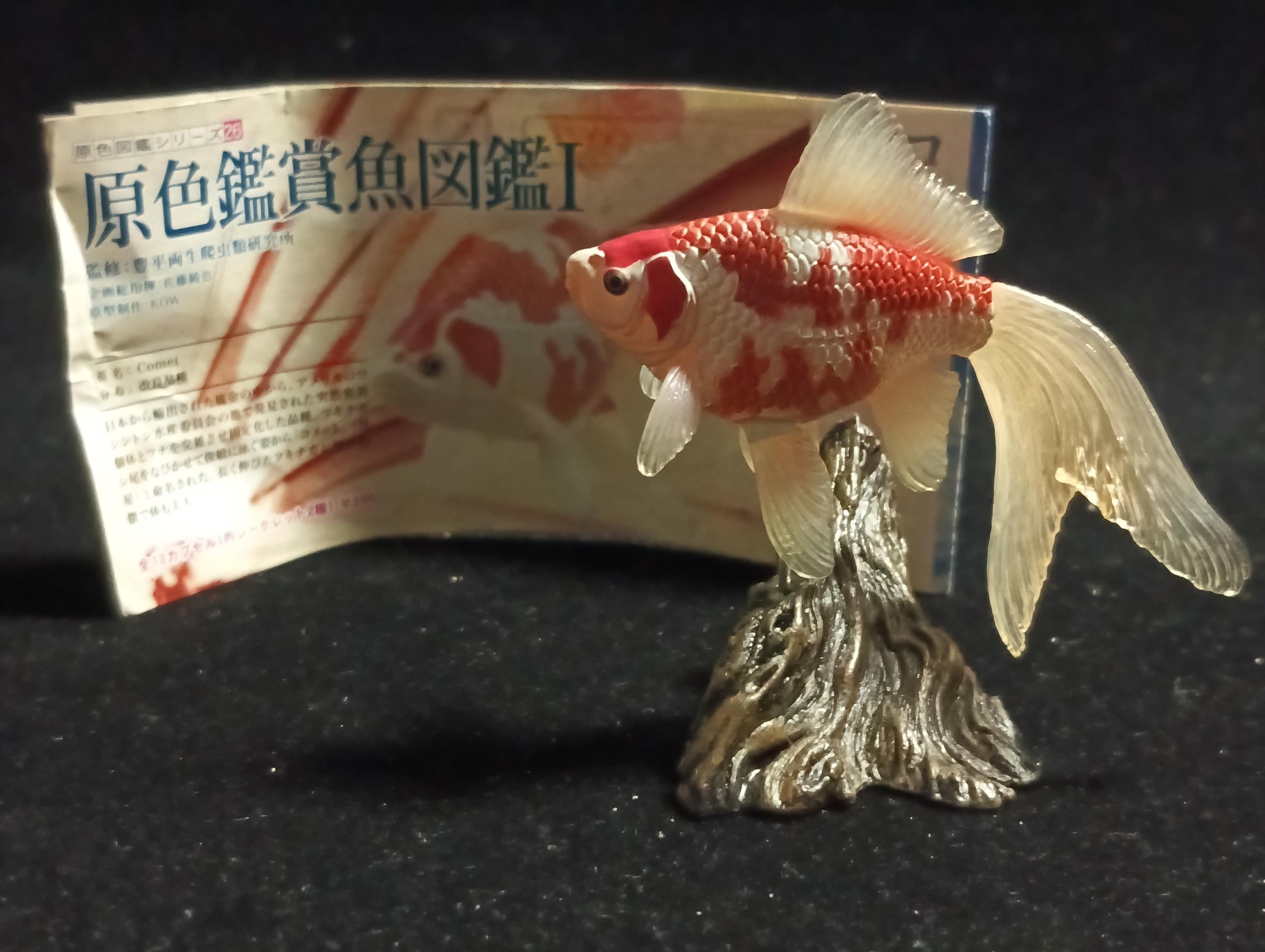 Freshwater Fish Encyclopedia 1:  Comet Goldfish, Yujin