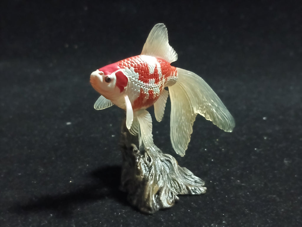 Freshwater Fish Encyclopedia 1:  Comet Goldfish, Yujin