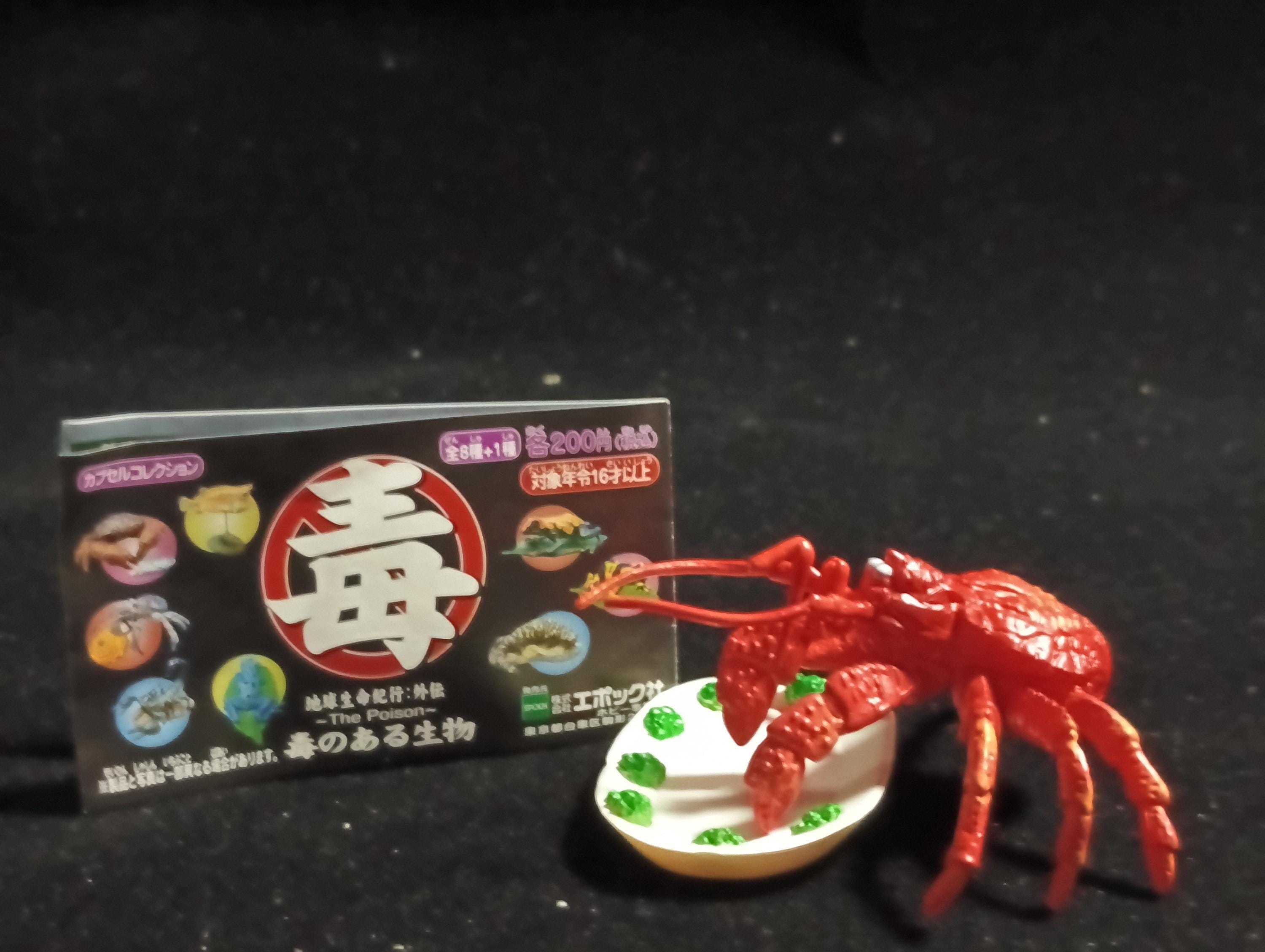 Coconut Crab (after cooking) “The Poison” - Epoch