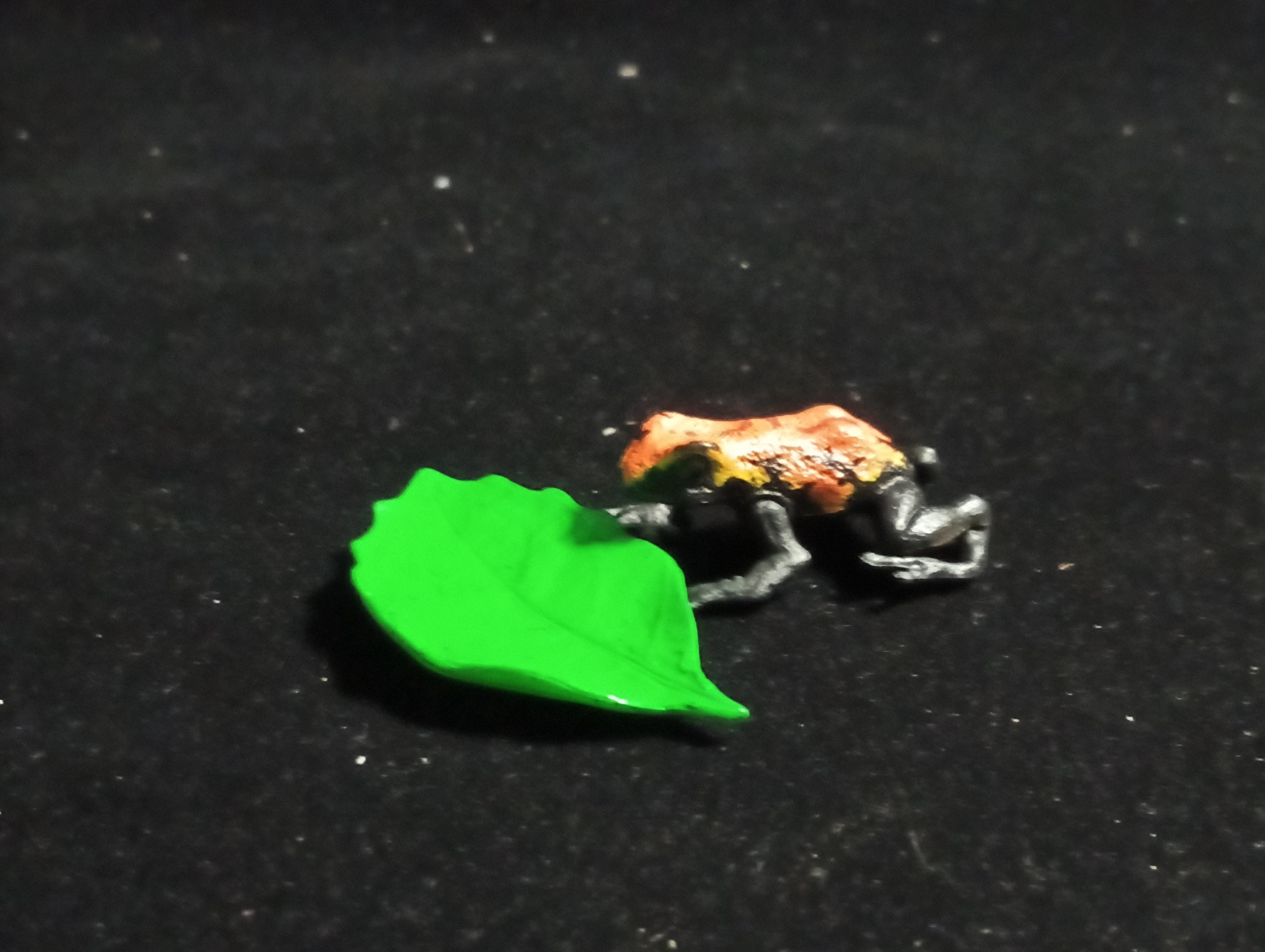 Strawberry poison dart frog “The Poison” - Epoch